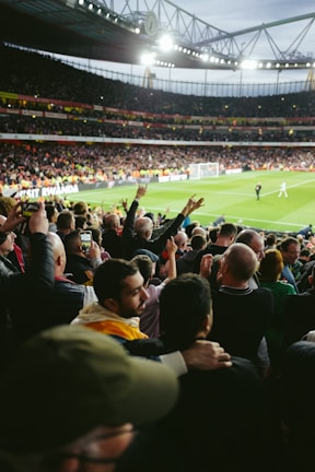 a crowd of people in a stadium