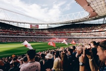 A large football stadium filled with spectators cheering and waving flags. The field is green and well-maintained, and the stands are packed with people. The atmosphere appears vibrant and energetic as people clap and celebrate.