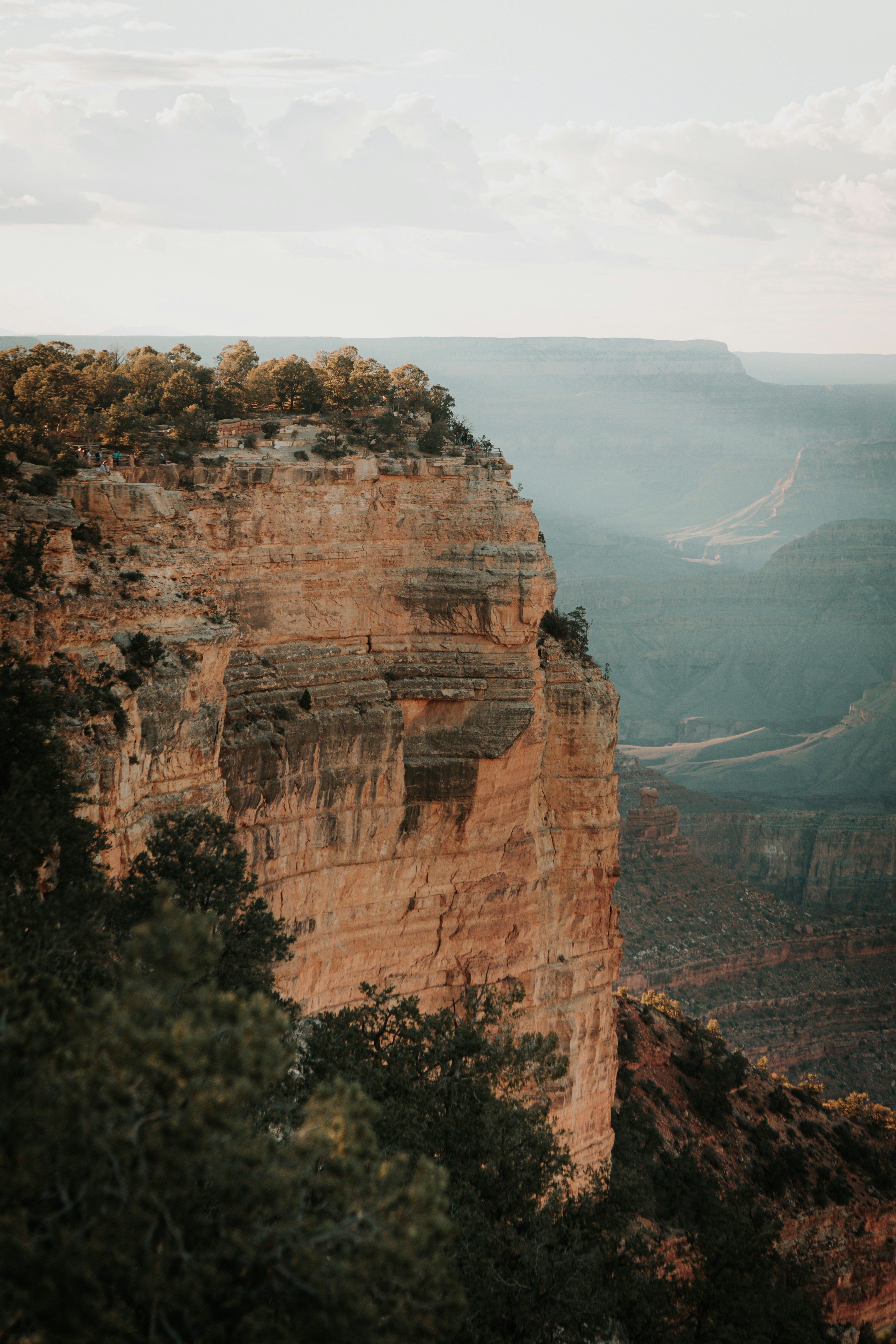 Photo by jeffersonsees