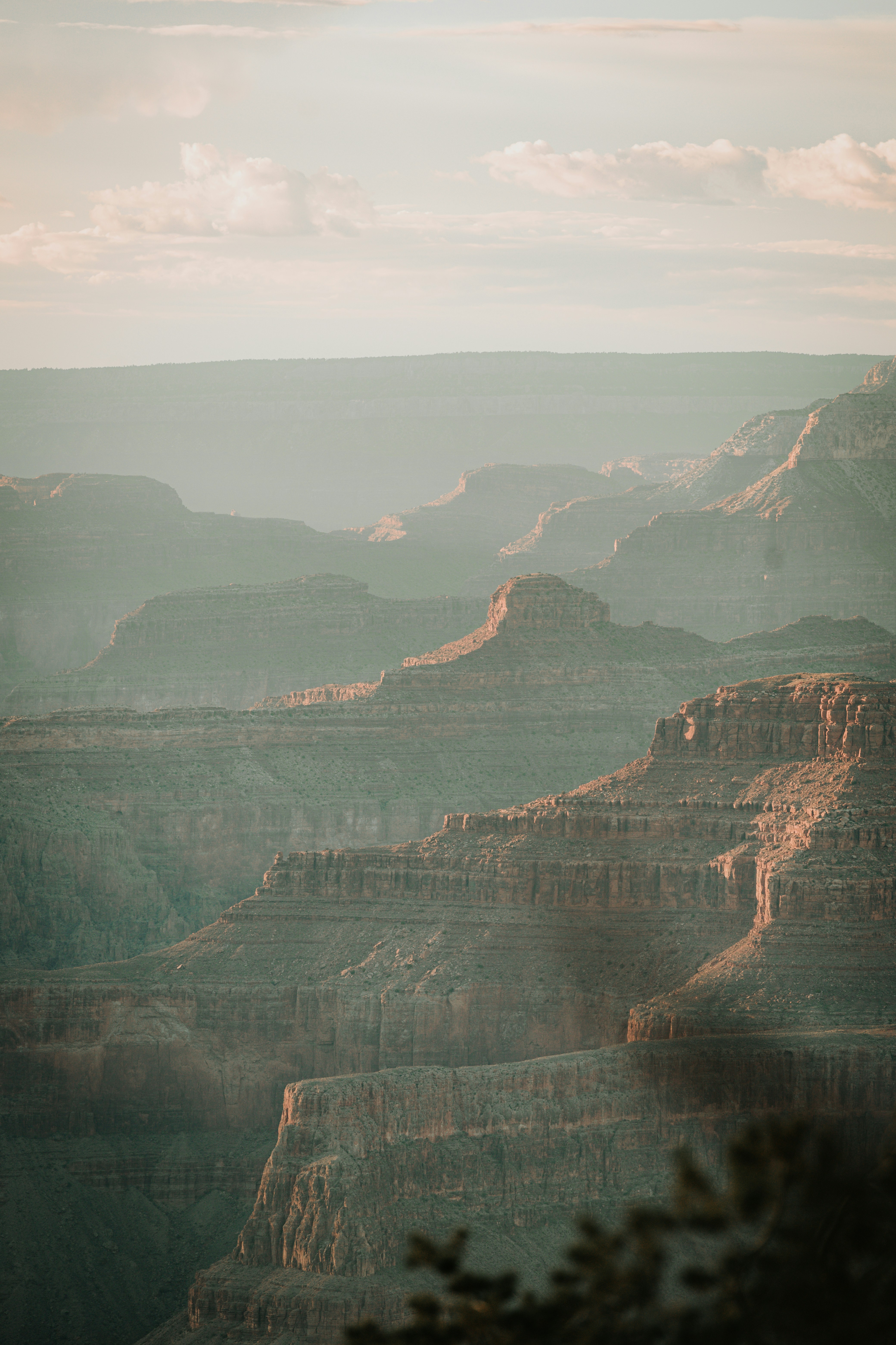 Photo by jeffersonsees