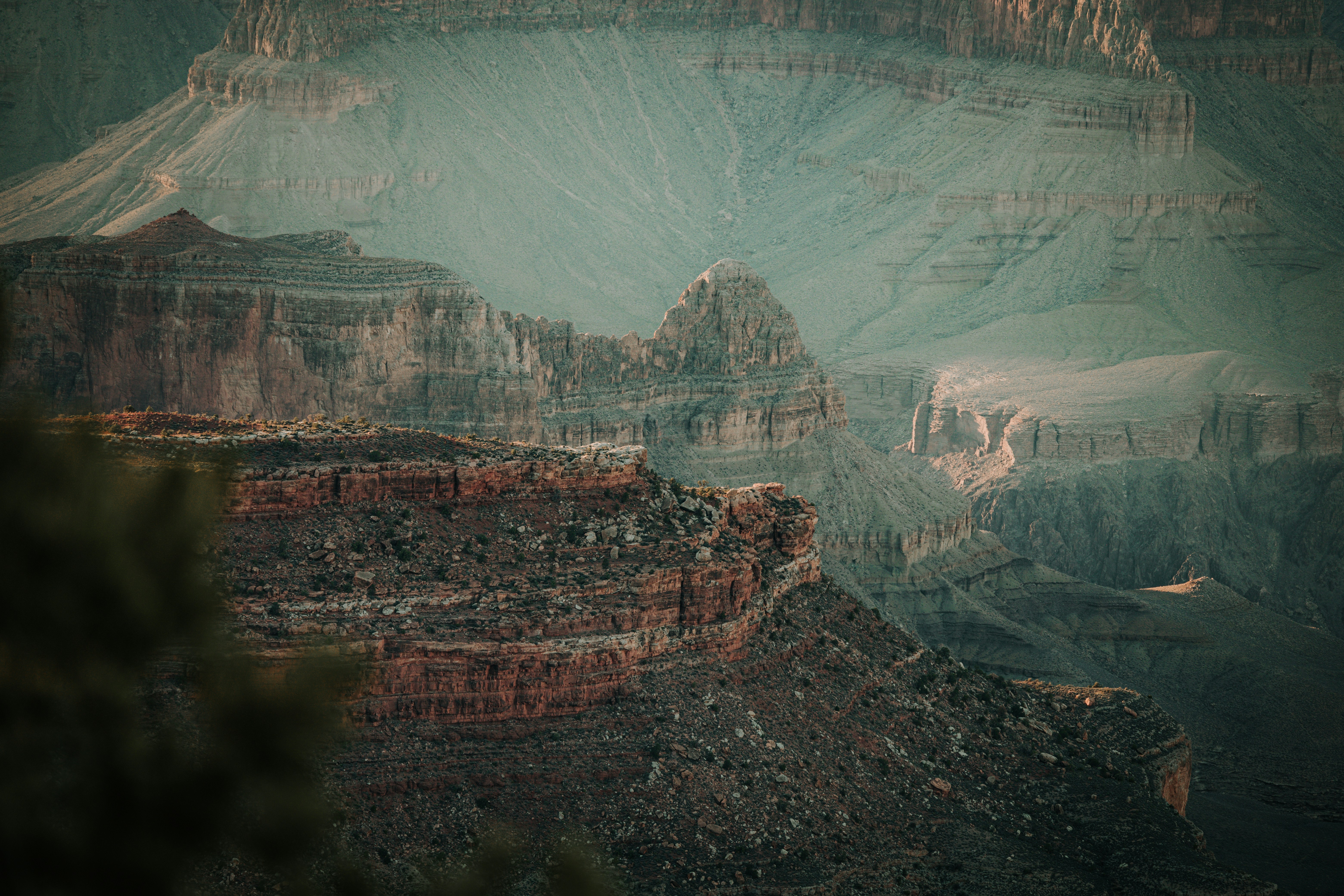 Photo by jeffersonsees