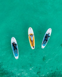 a group of people in a boat