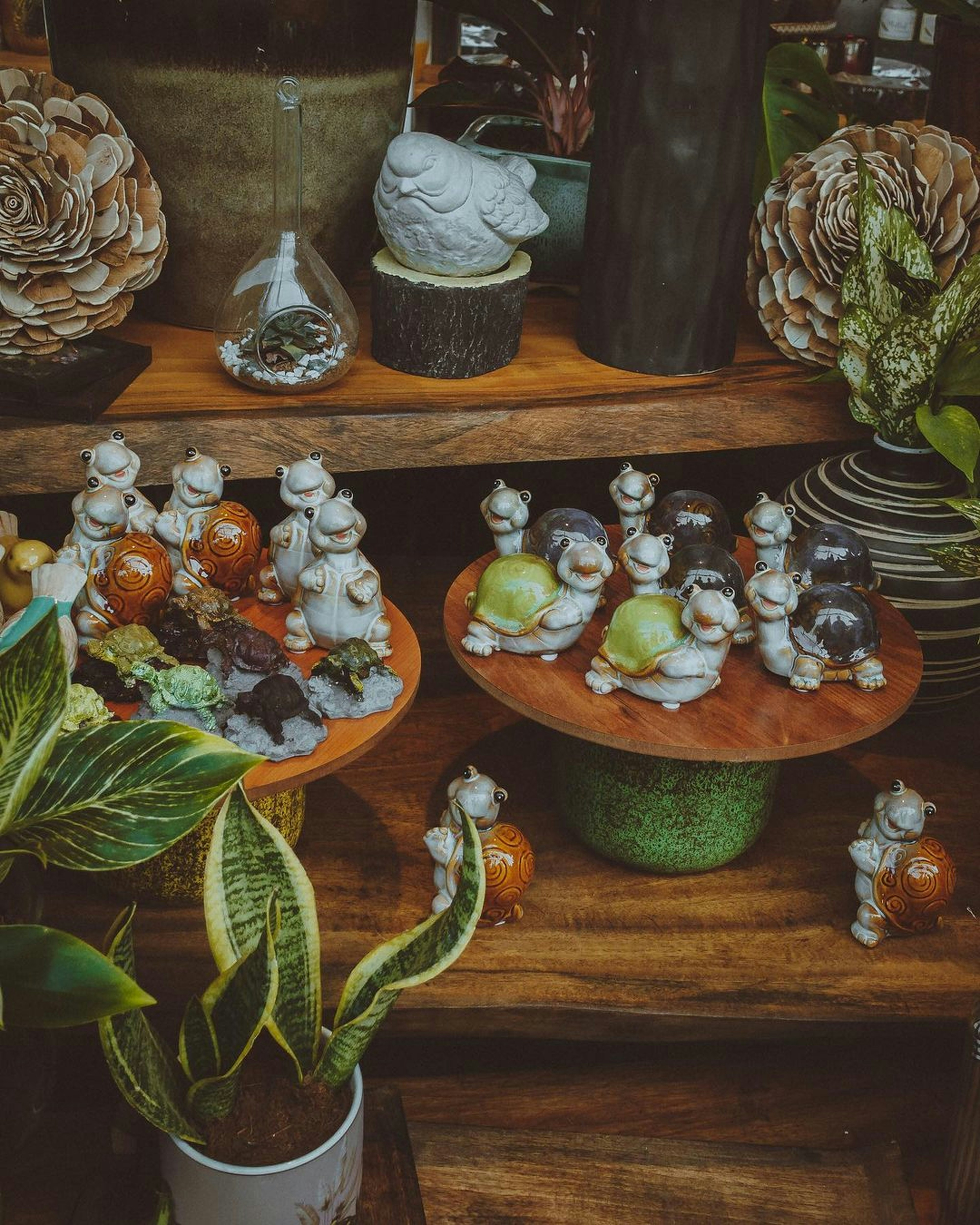 Photo by pramodtiwari