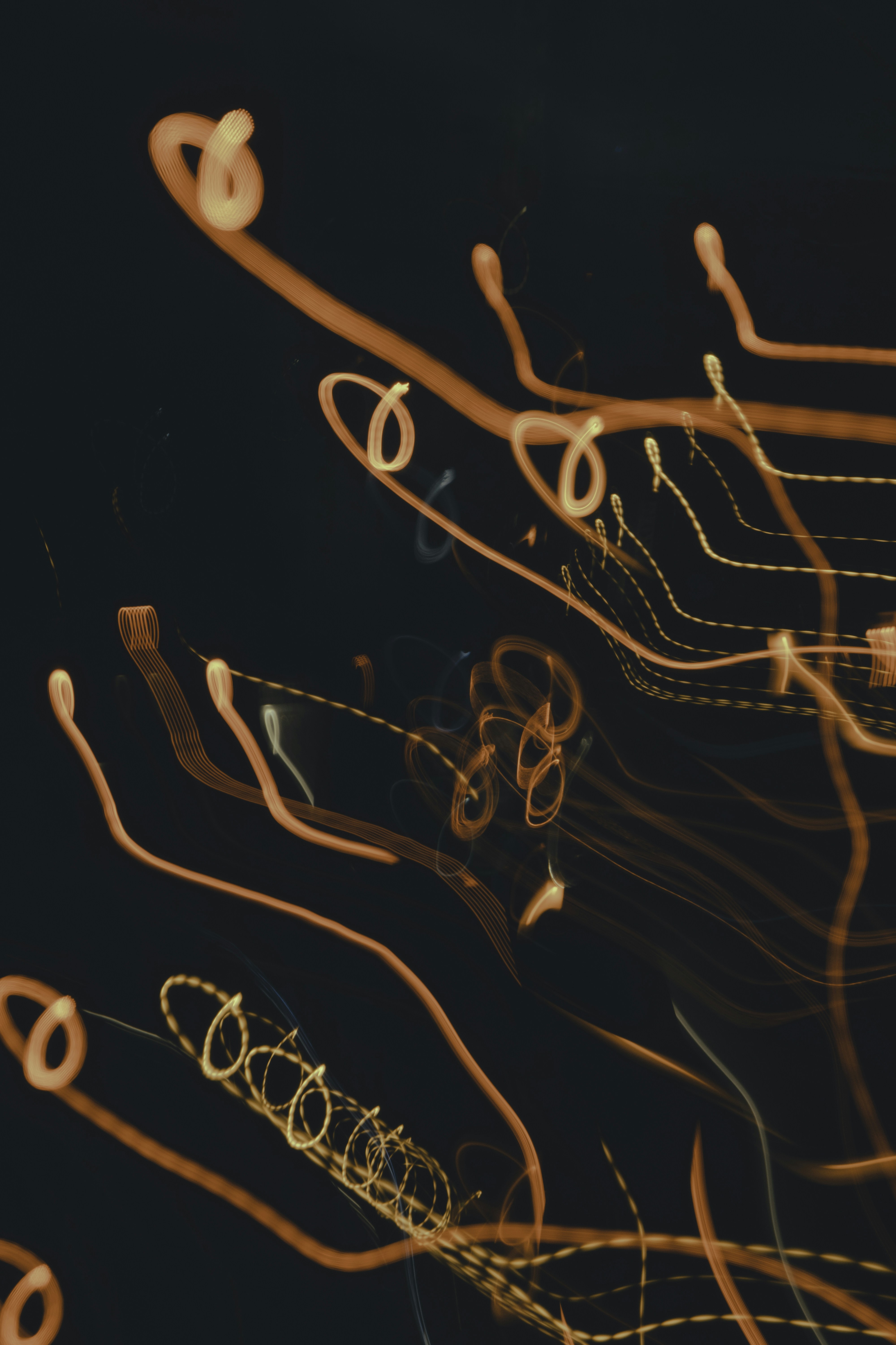 Photo by mahdibafande