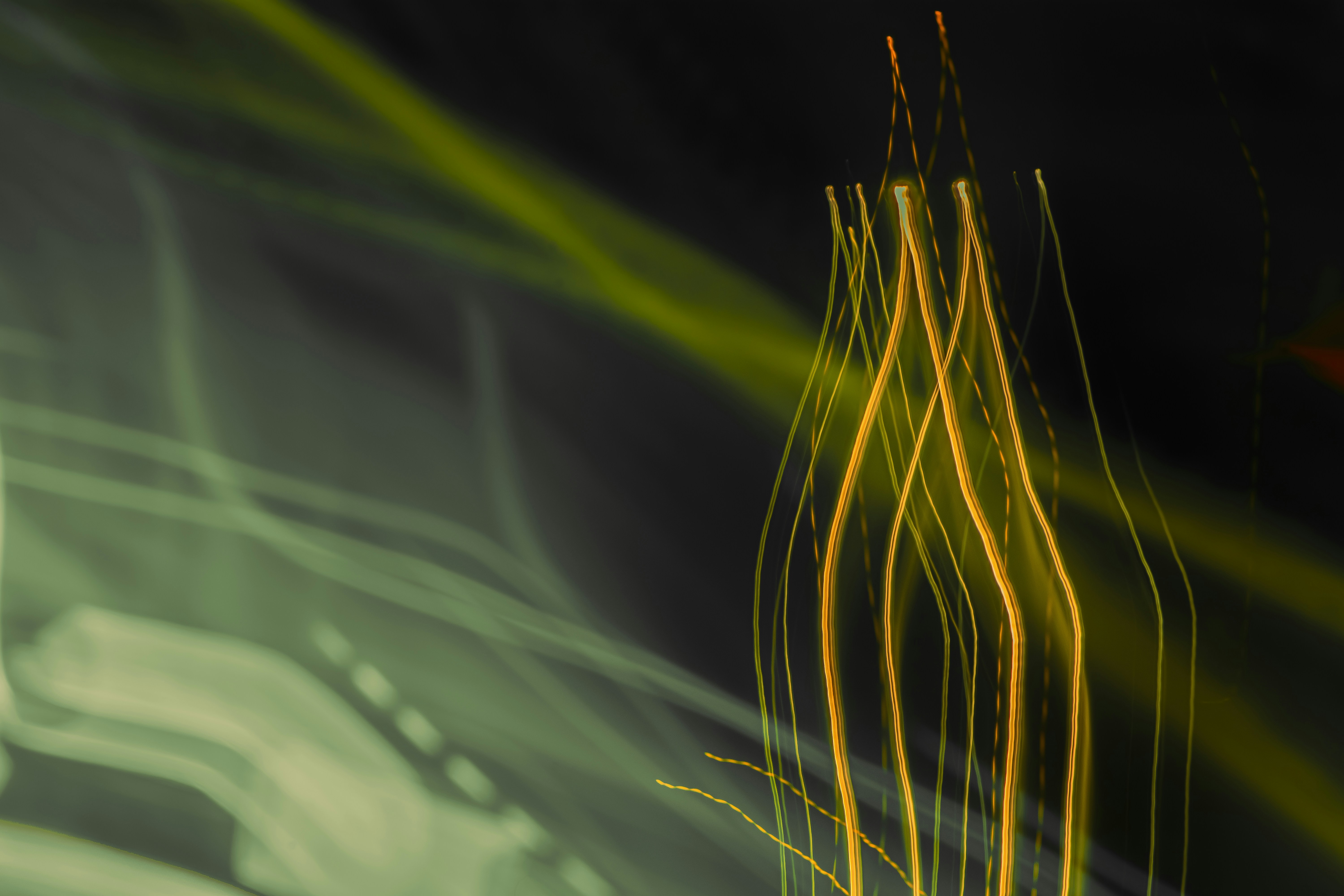 Photo by mahdibafande