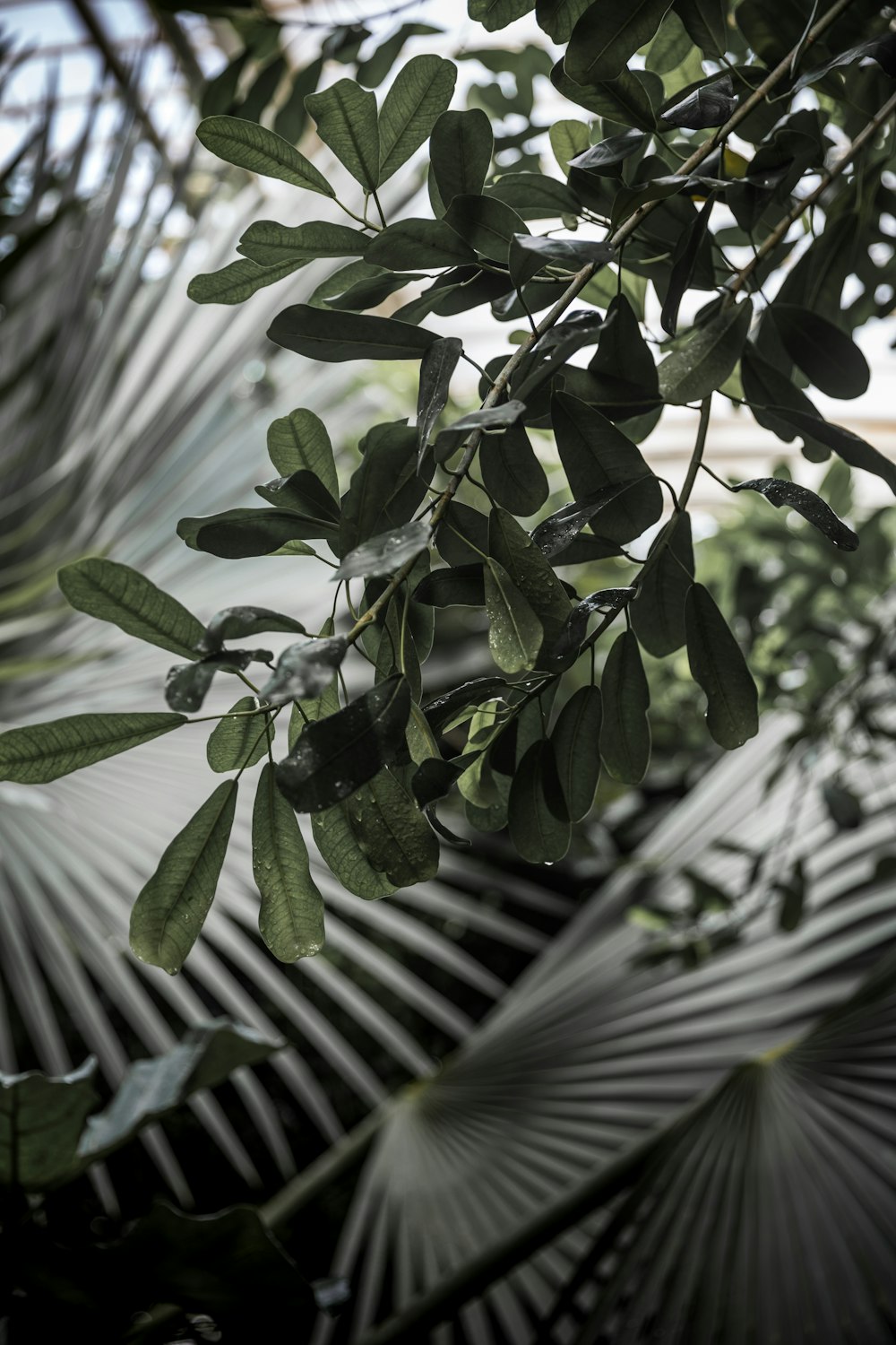 Un vase de fleurs sur un arbre