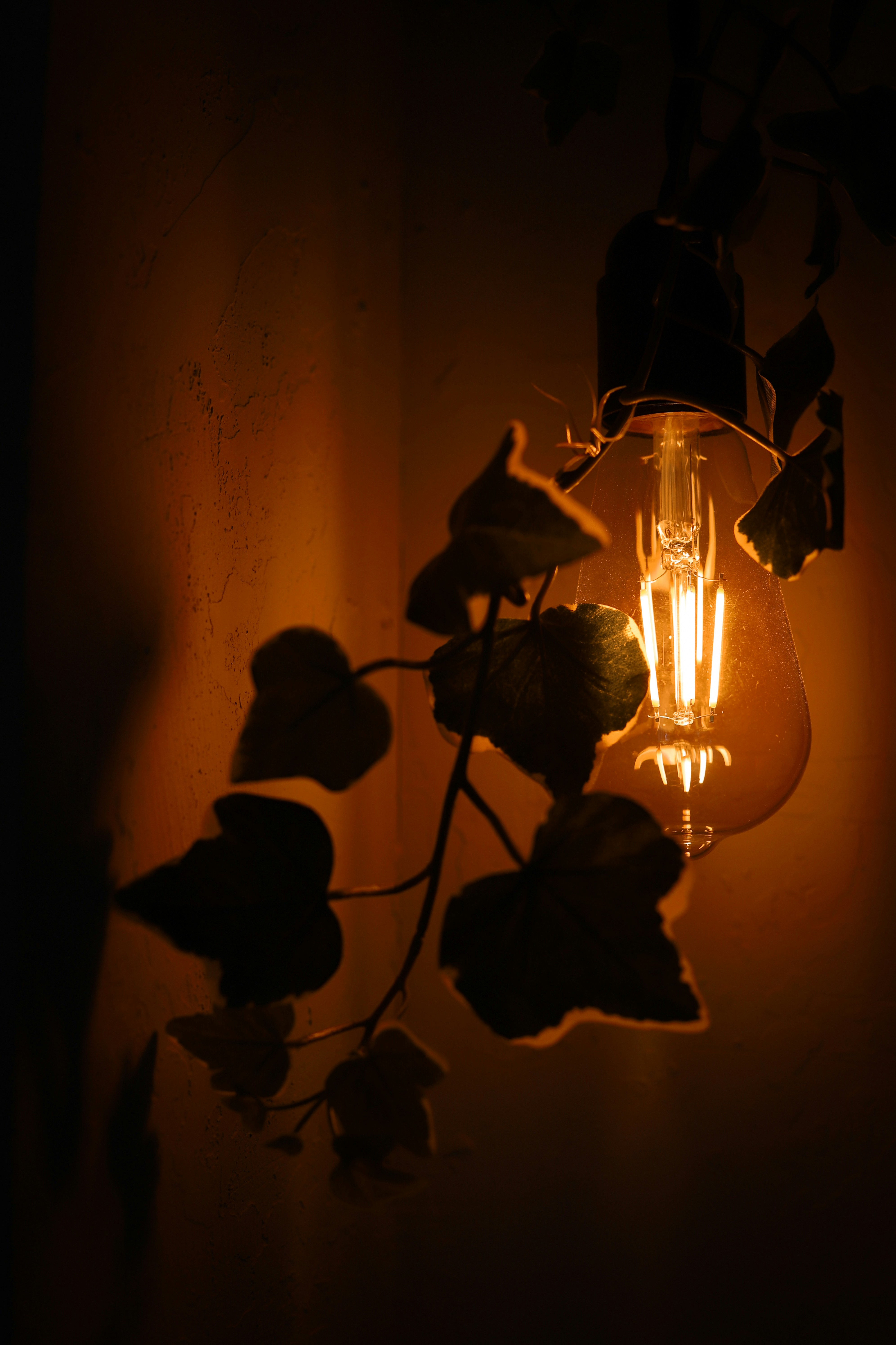 Warm Aesthetic Pictures | Download Free Images on Unsplash