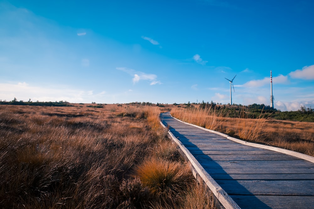 a wooden walkway through a field