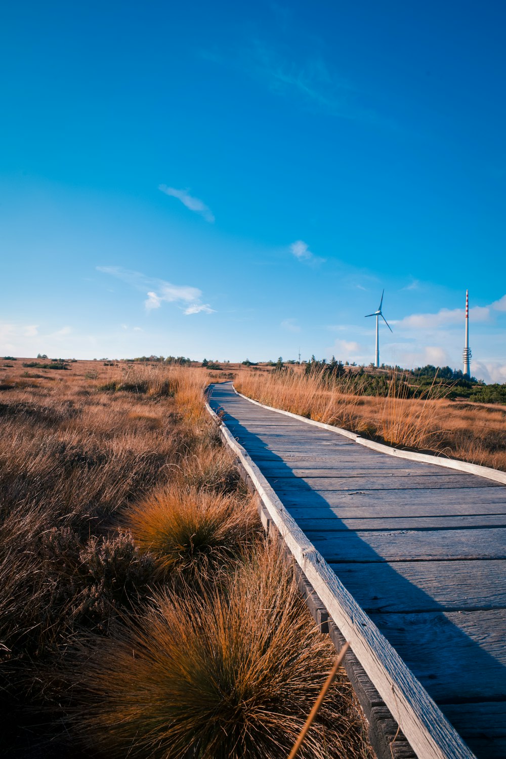 a wooden walkway with grass and windmills on either side of it