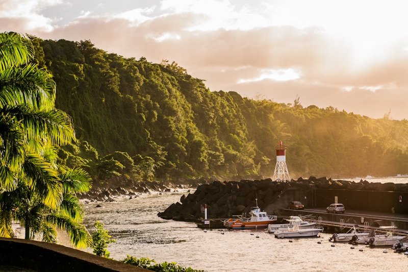 Réunion Island gallery 2