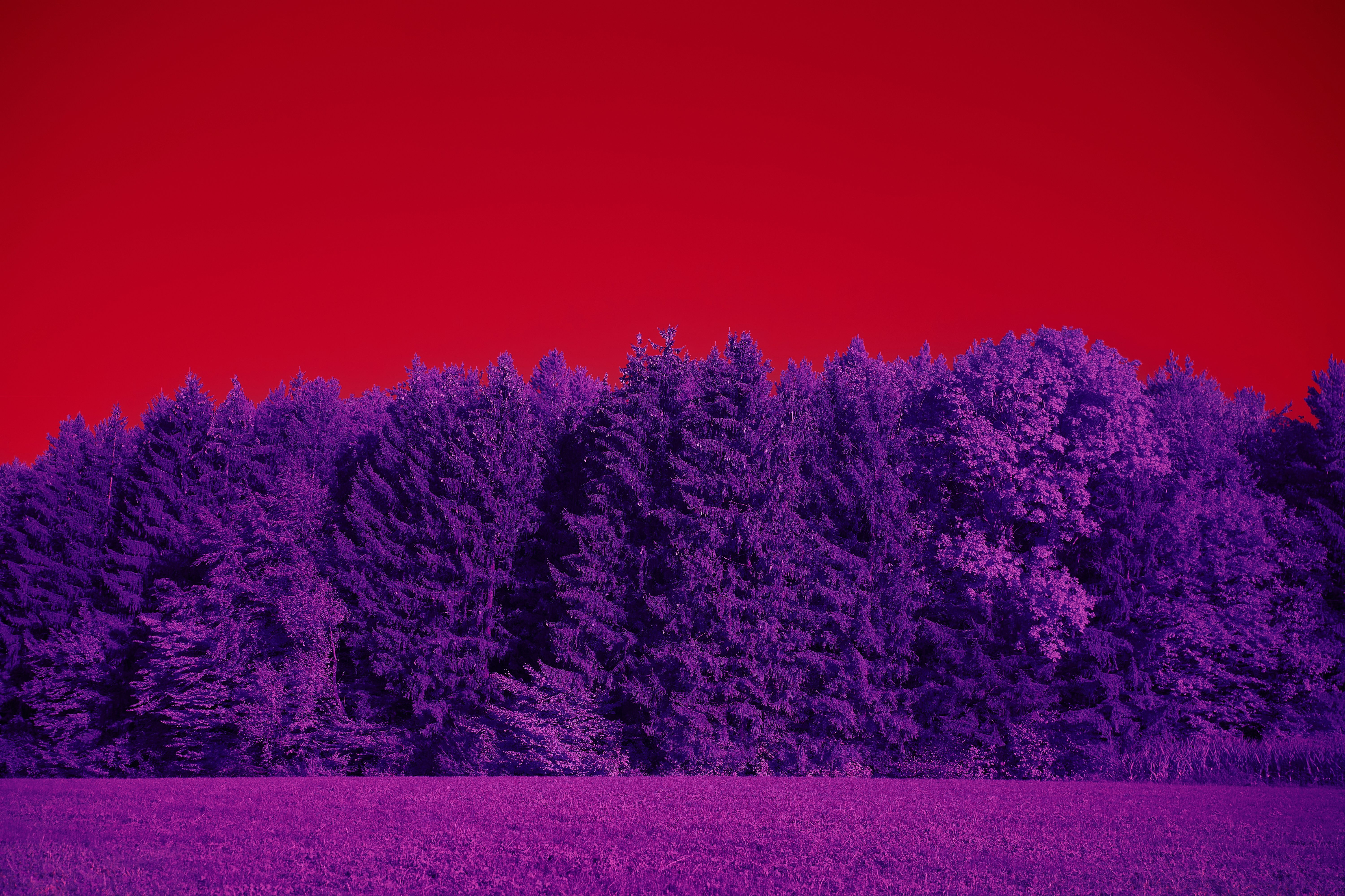 Photo by wolfgang_hasselmann