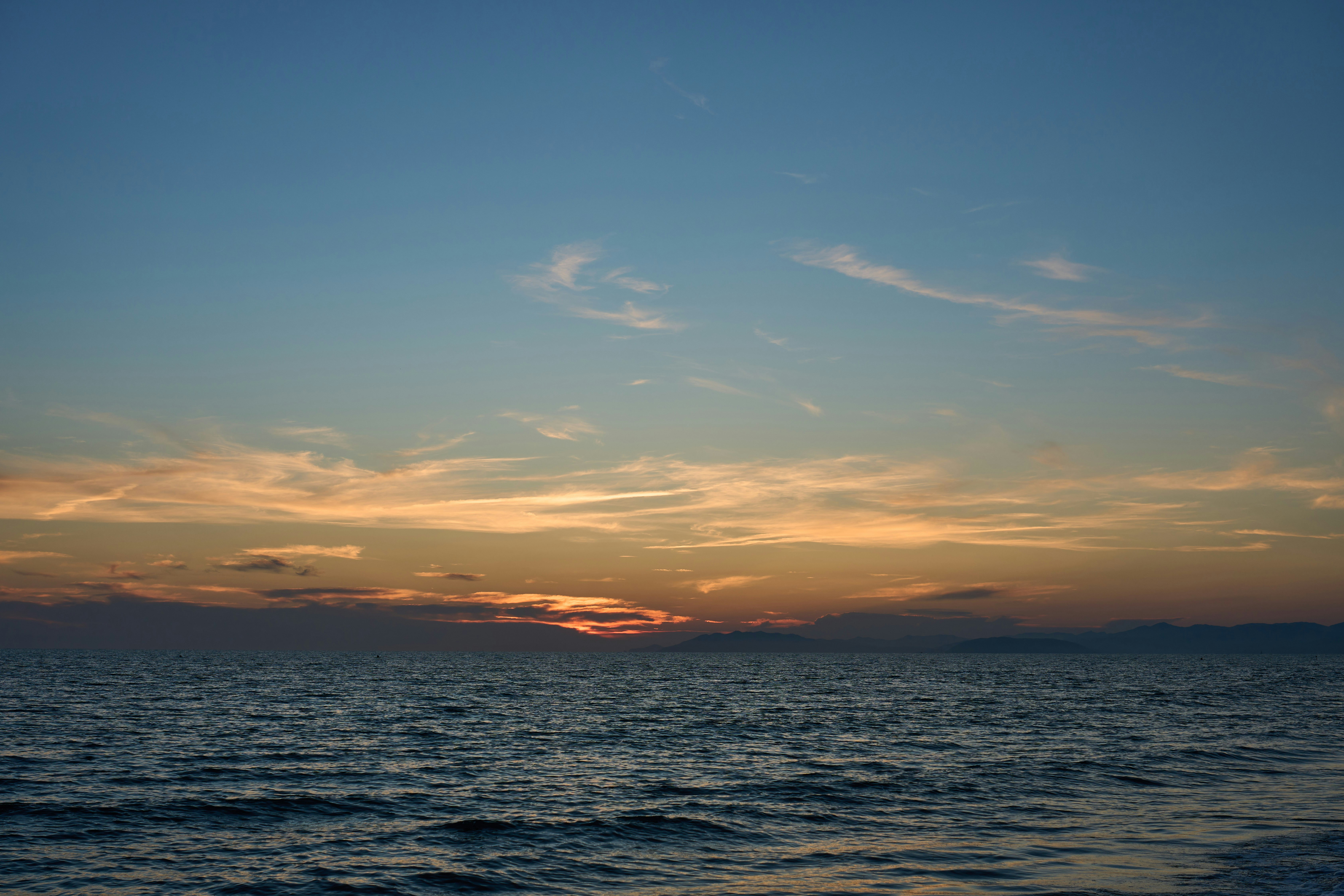 Photo by wolfgang_hasselmann