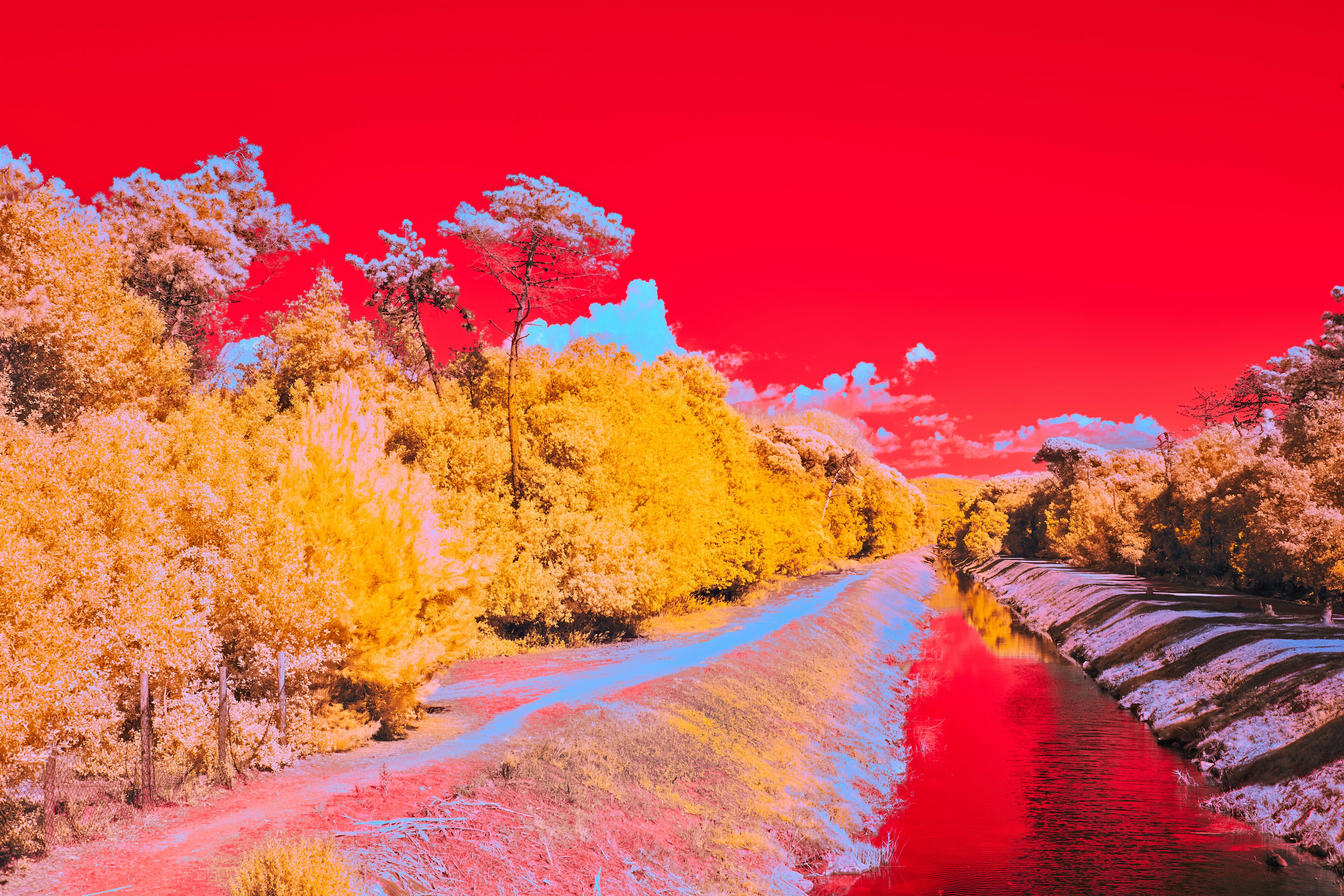 Photo by wolfgang_hasselmann