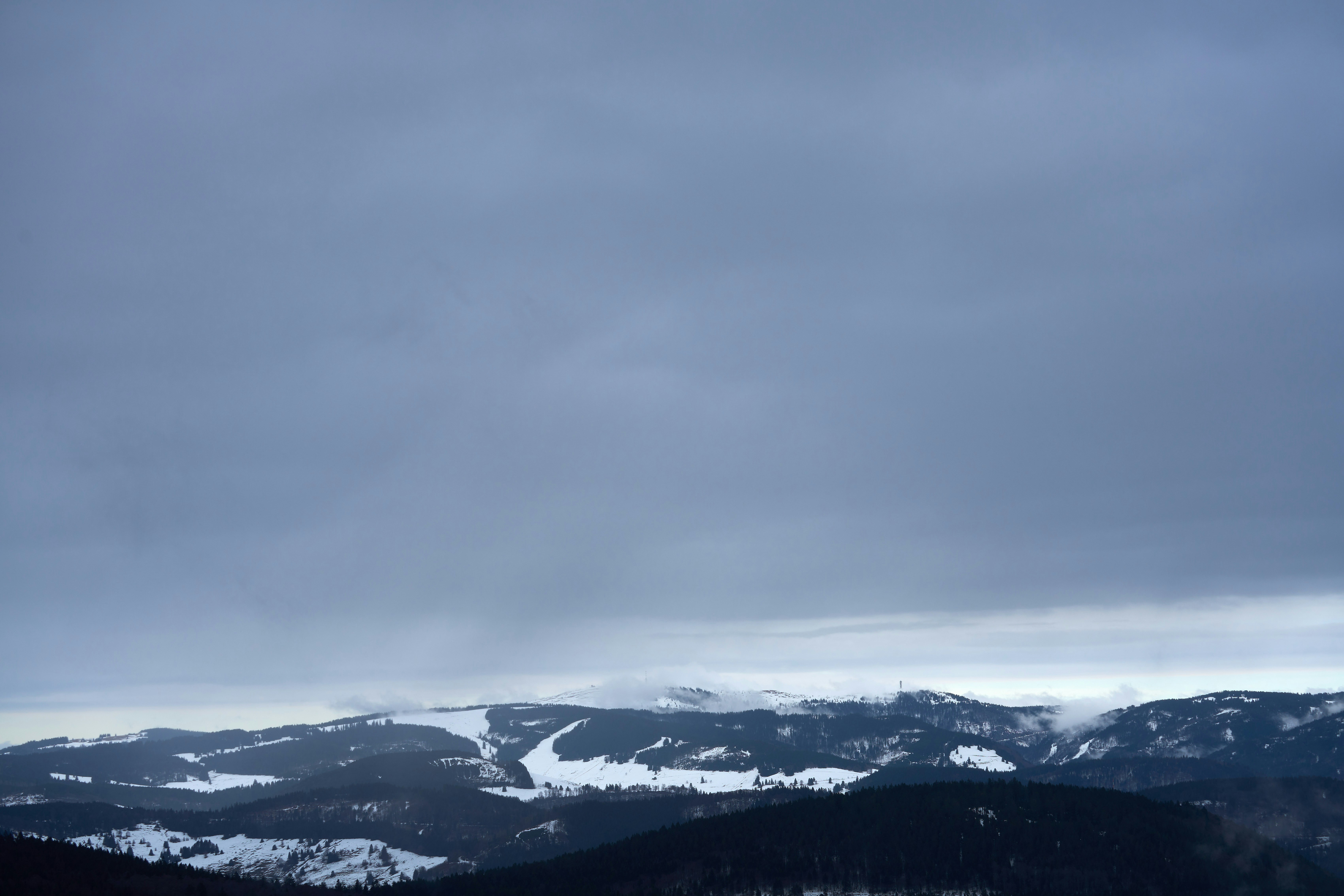 Photo by wolfgang_hasselmann