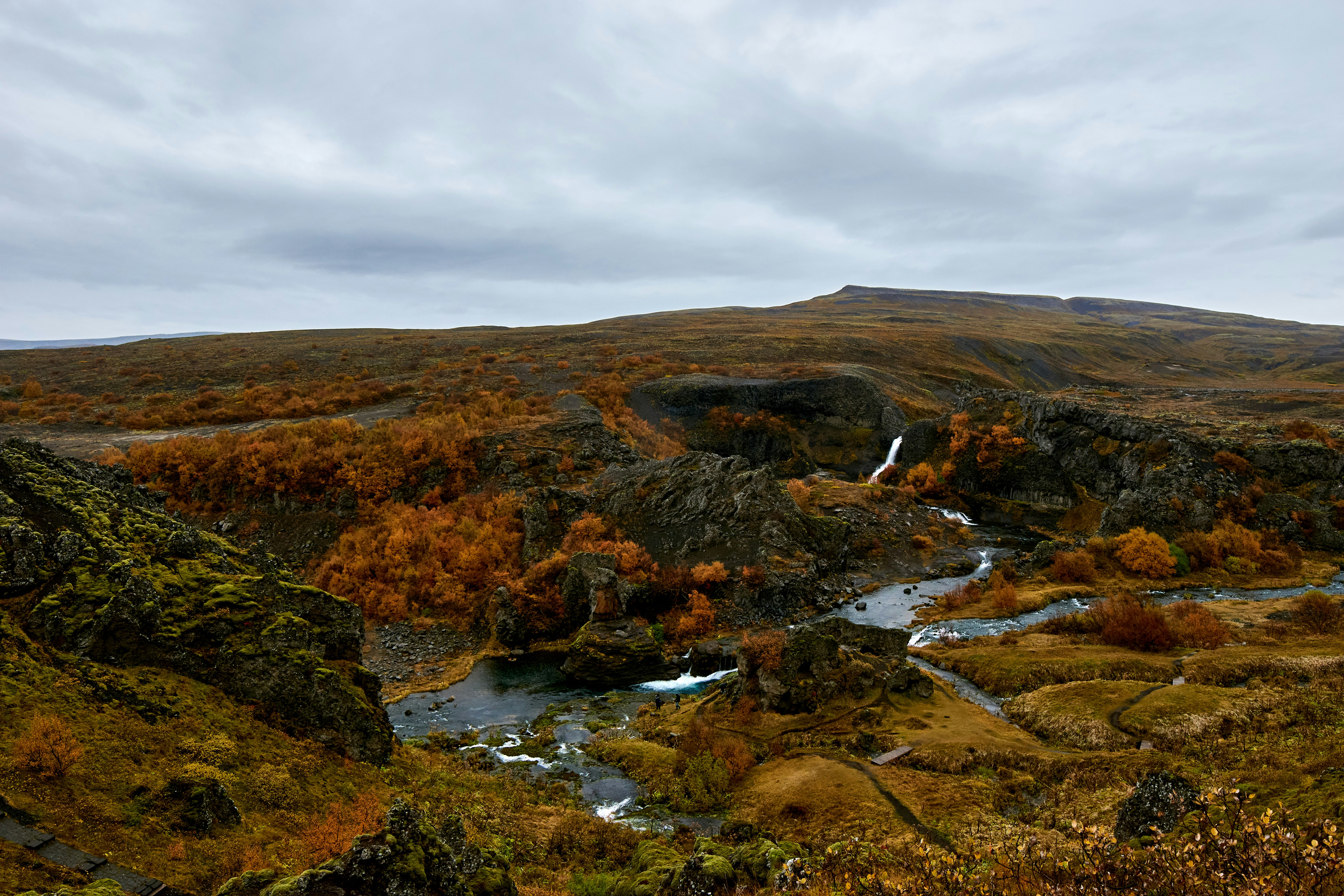 Photo by wolfgang_hasselmann