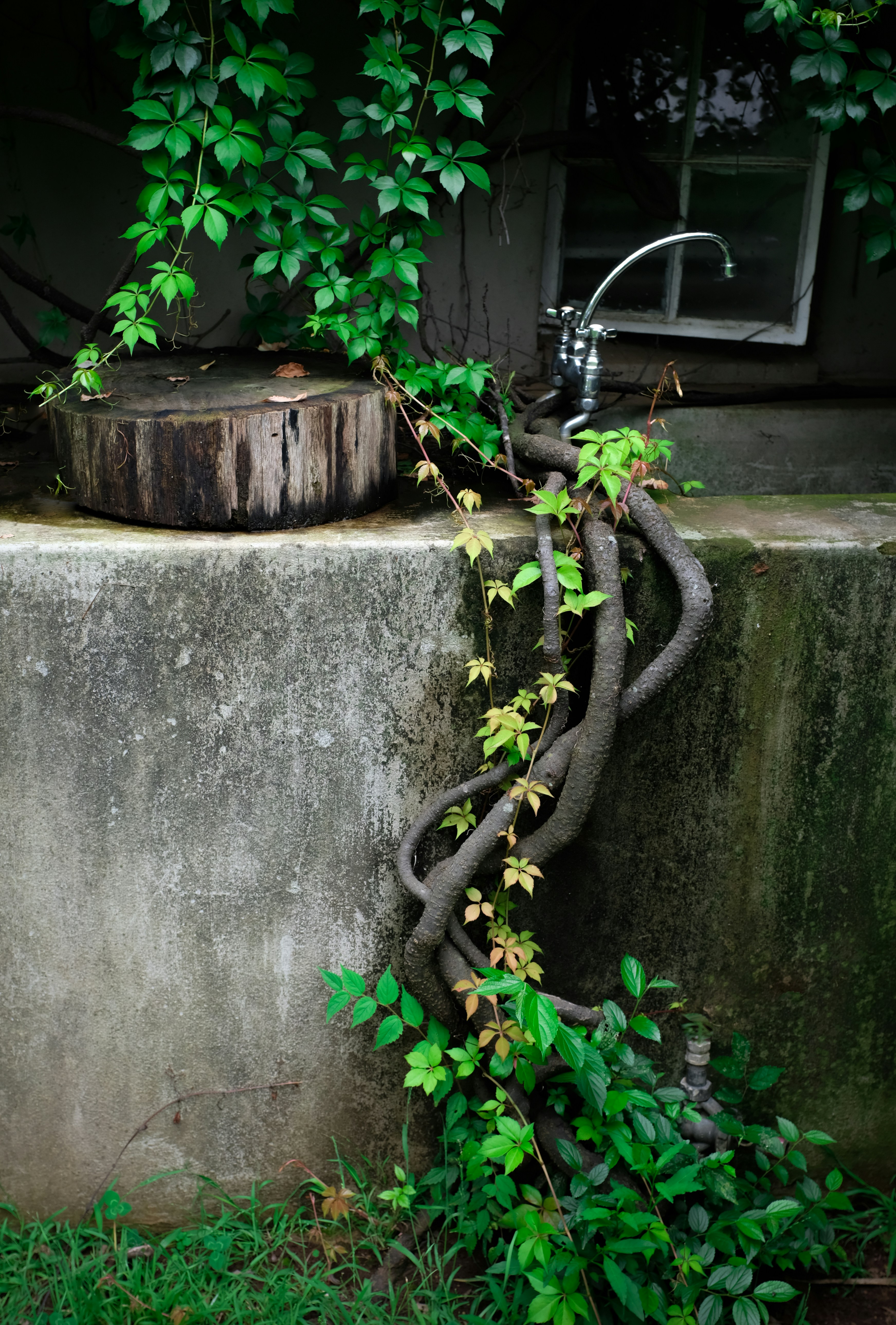A plumber using a snake to clear a clogged drain.