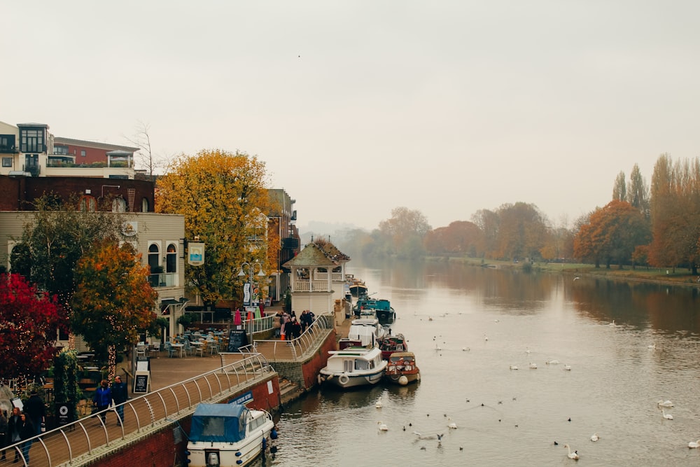 a river with boats on it