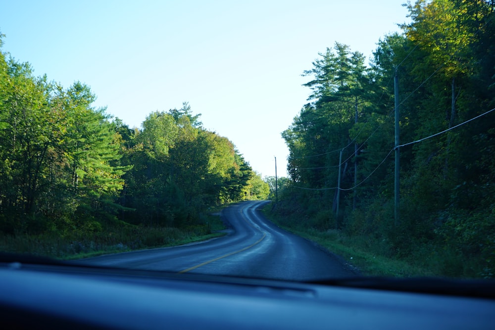 a road with trees on the side