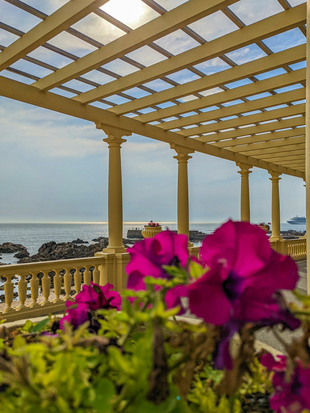 a group of flowers under a wooden structure