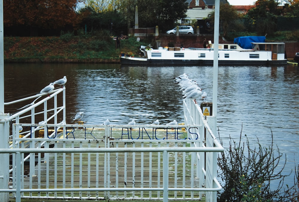 a boat in the water