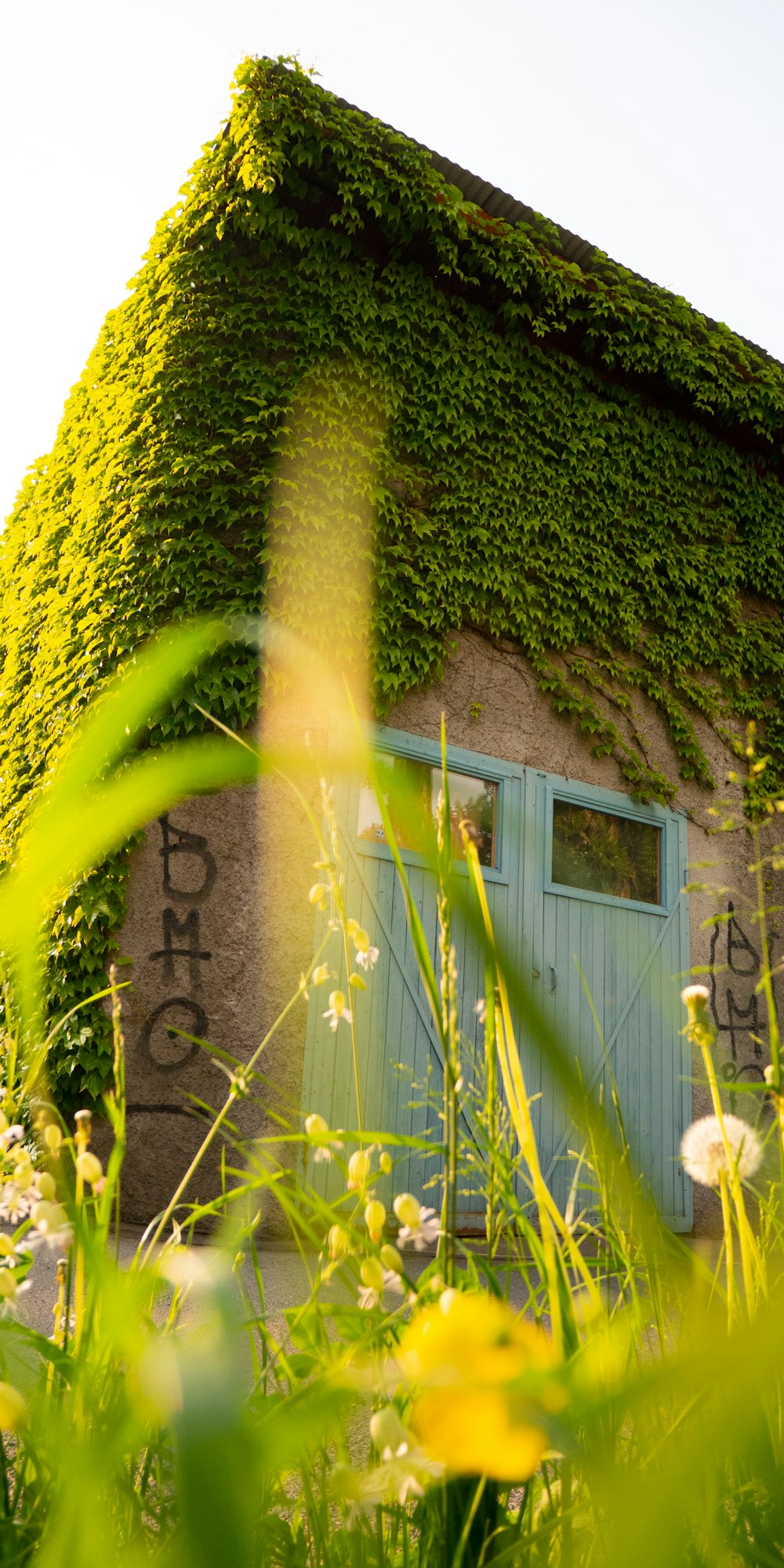 a house with a large green bush