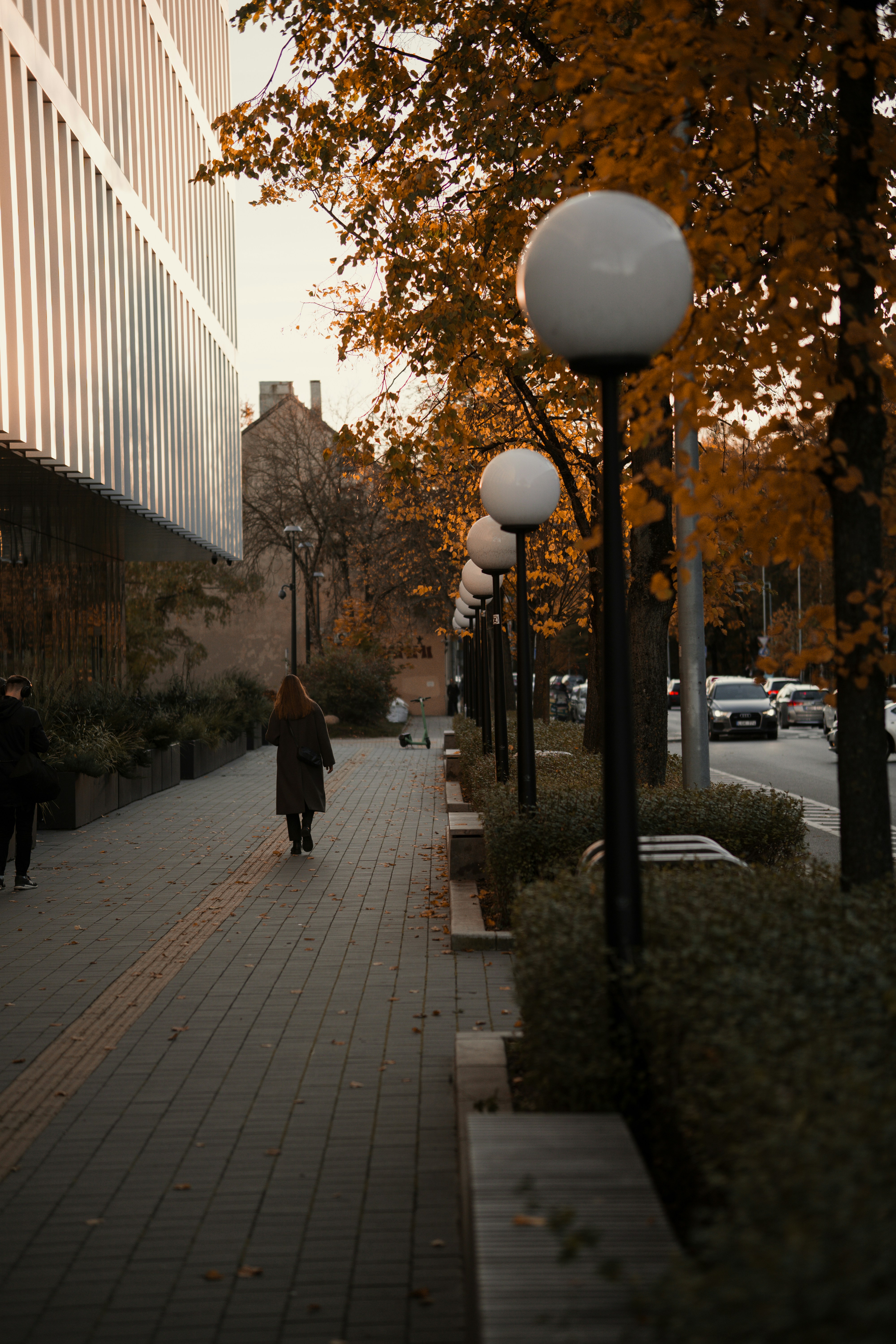 Photo by no_rush