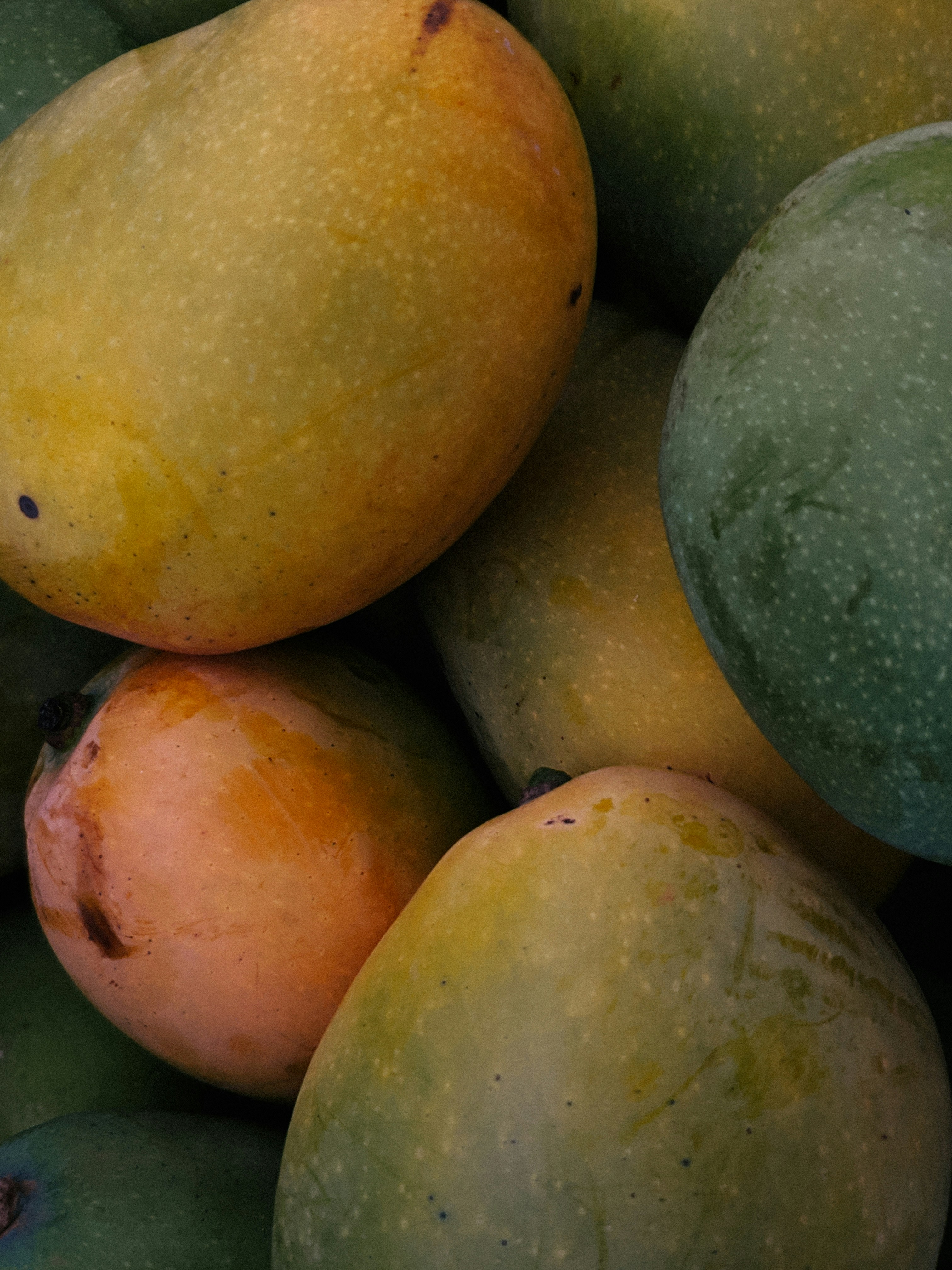 Ripe golden yellow mango fruits on vibrant background