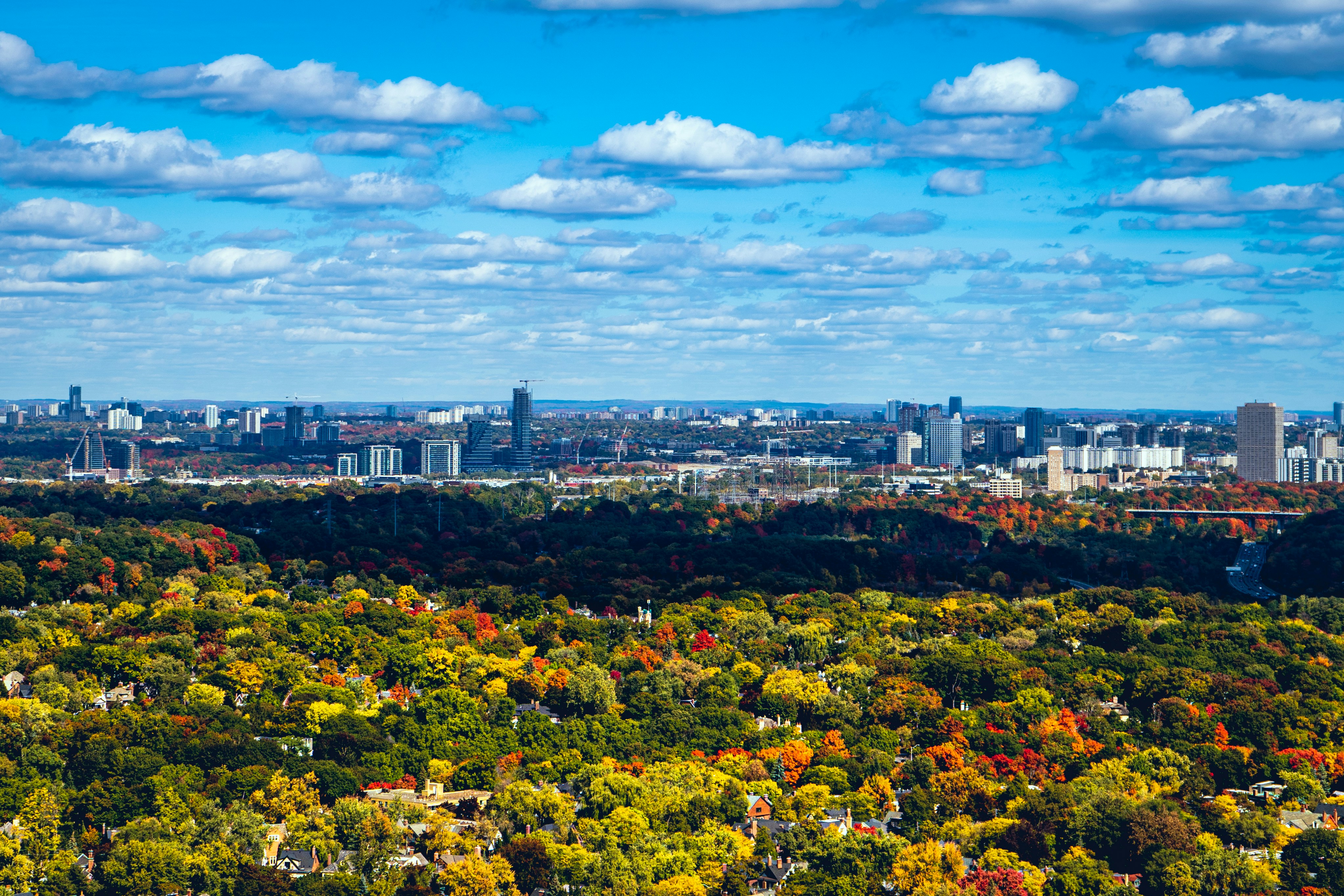 Measured Against the Market: How Deer Park Property Values Have Outpaced Toronto's Most Celebrated Addresses