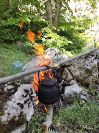A black kettle is suspended over an open flame made from a makeshift campfire. The fire is surrounded by large rocks and the scene is set in a lush, green forest with sunlight filtering through the leaves. There is a plastic bottle visible to the side.