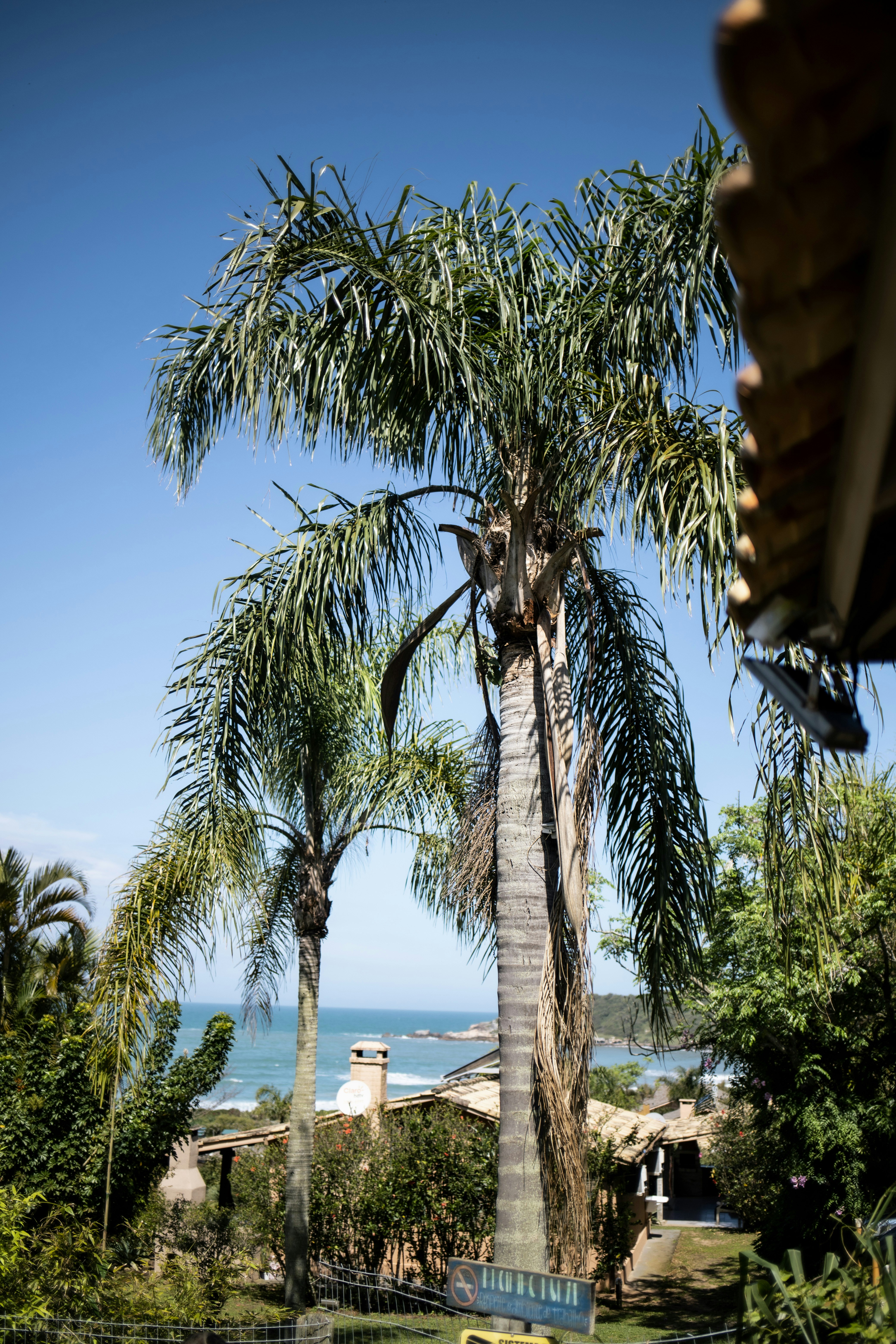 Photo by filipgrobgaard