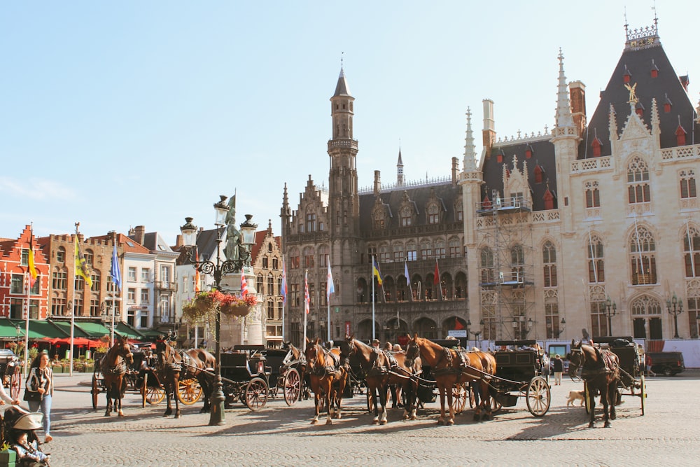 a group of horses pulling carriages