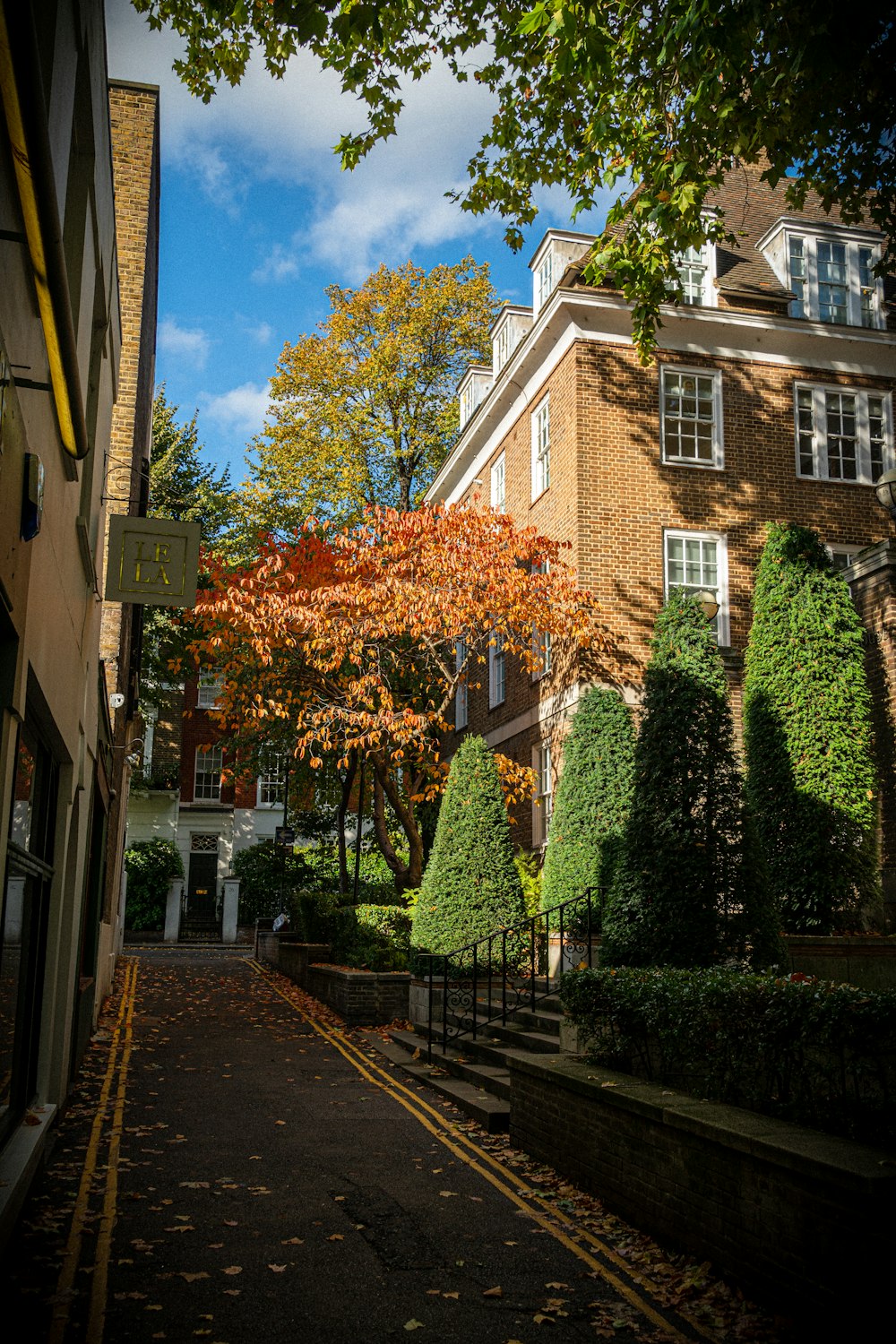 a street with trees and buildings on the side