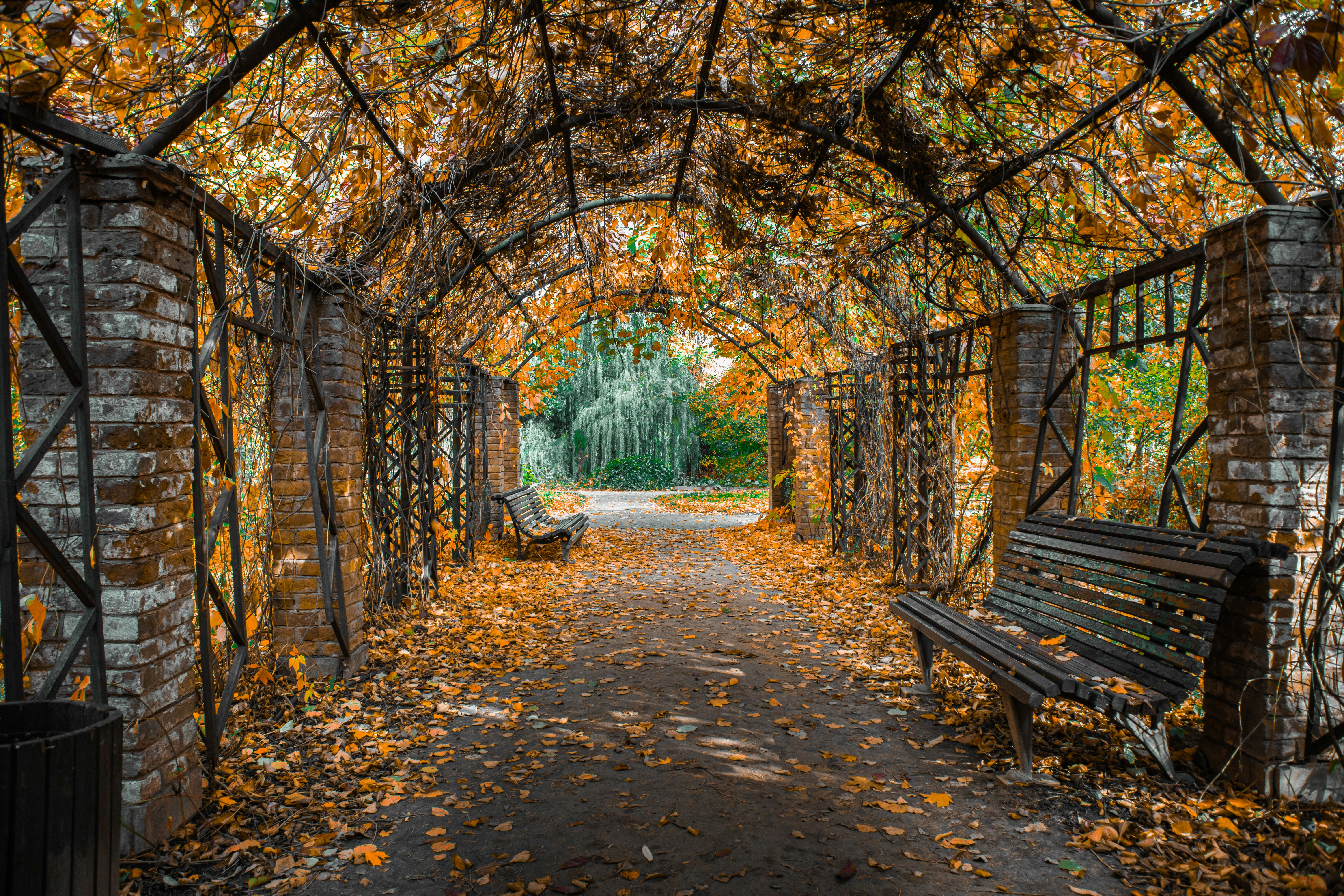Photo by mubinkholboev