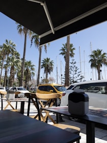 An outdoor seating area with wooden chairs and tables under a black canopy. Palm trees line the background, alongside parked cars including a yellow taxi. Sailboat masts are visible beyond the trees, suggesting a nearby marina.