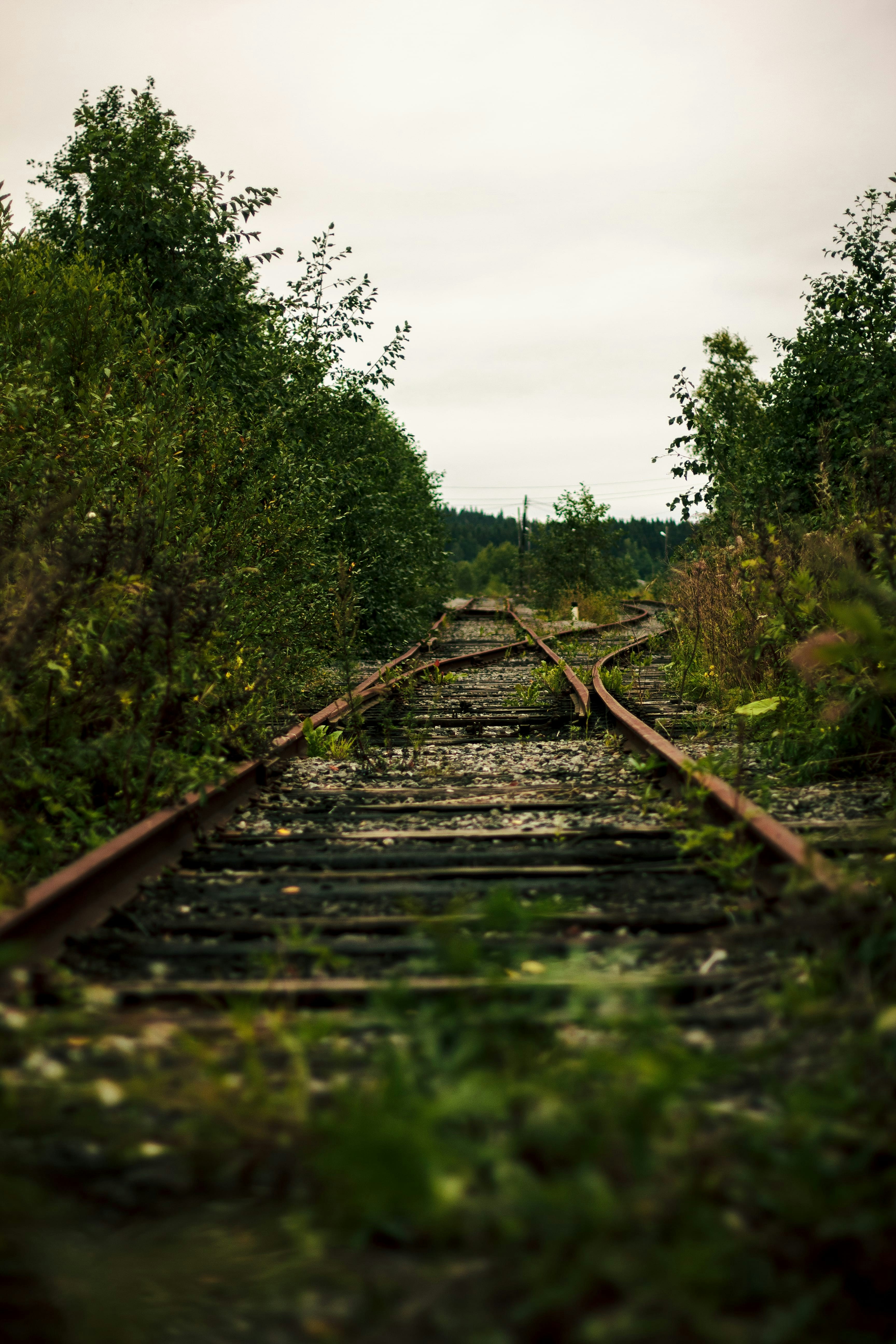 Photo by icecream0_o