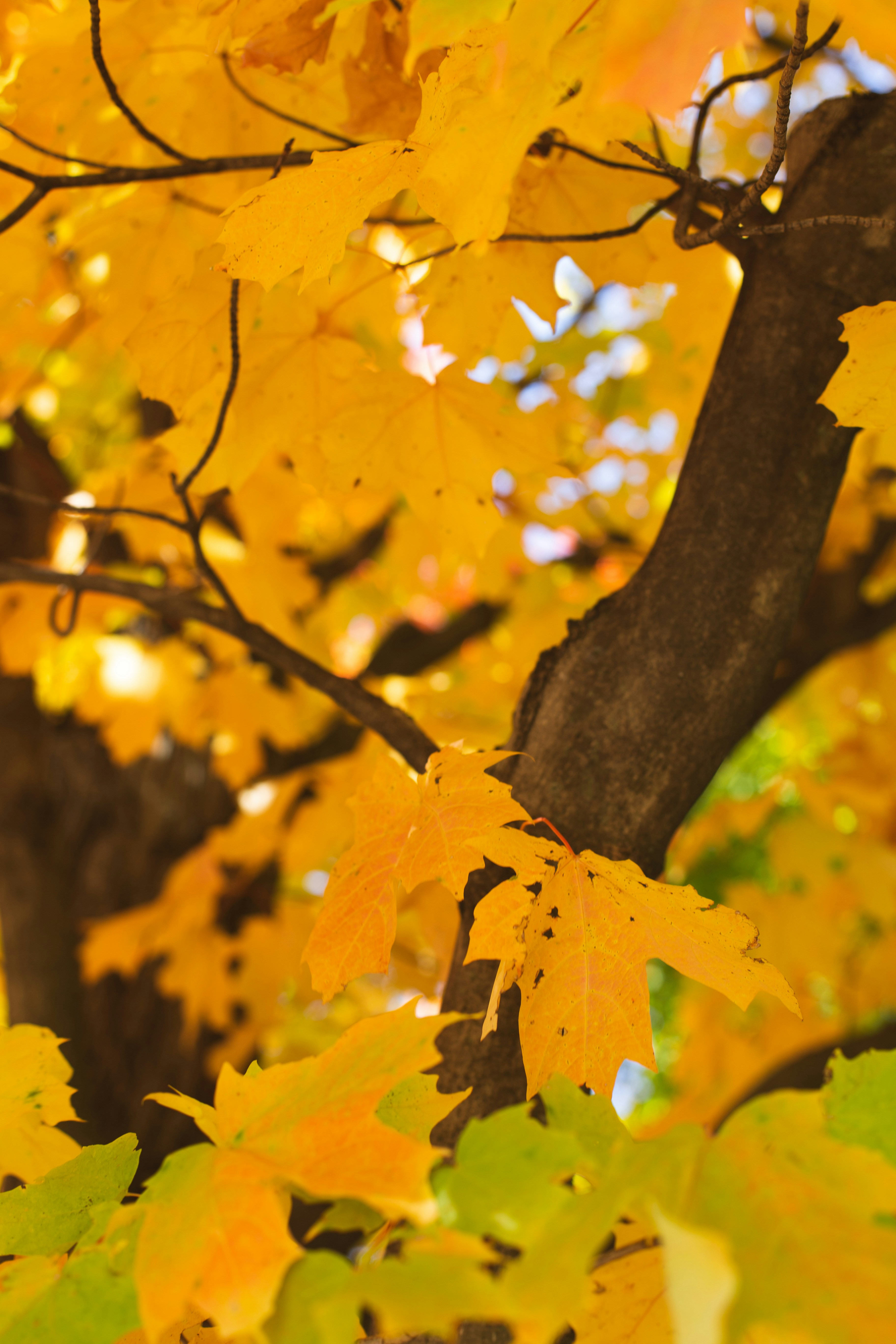 Photo by jessicalfadel