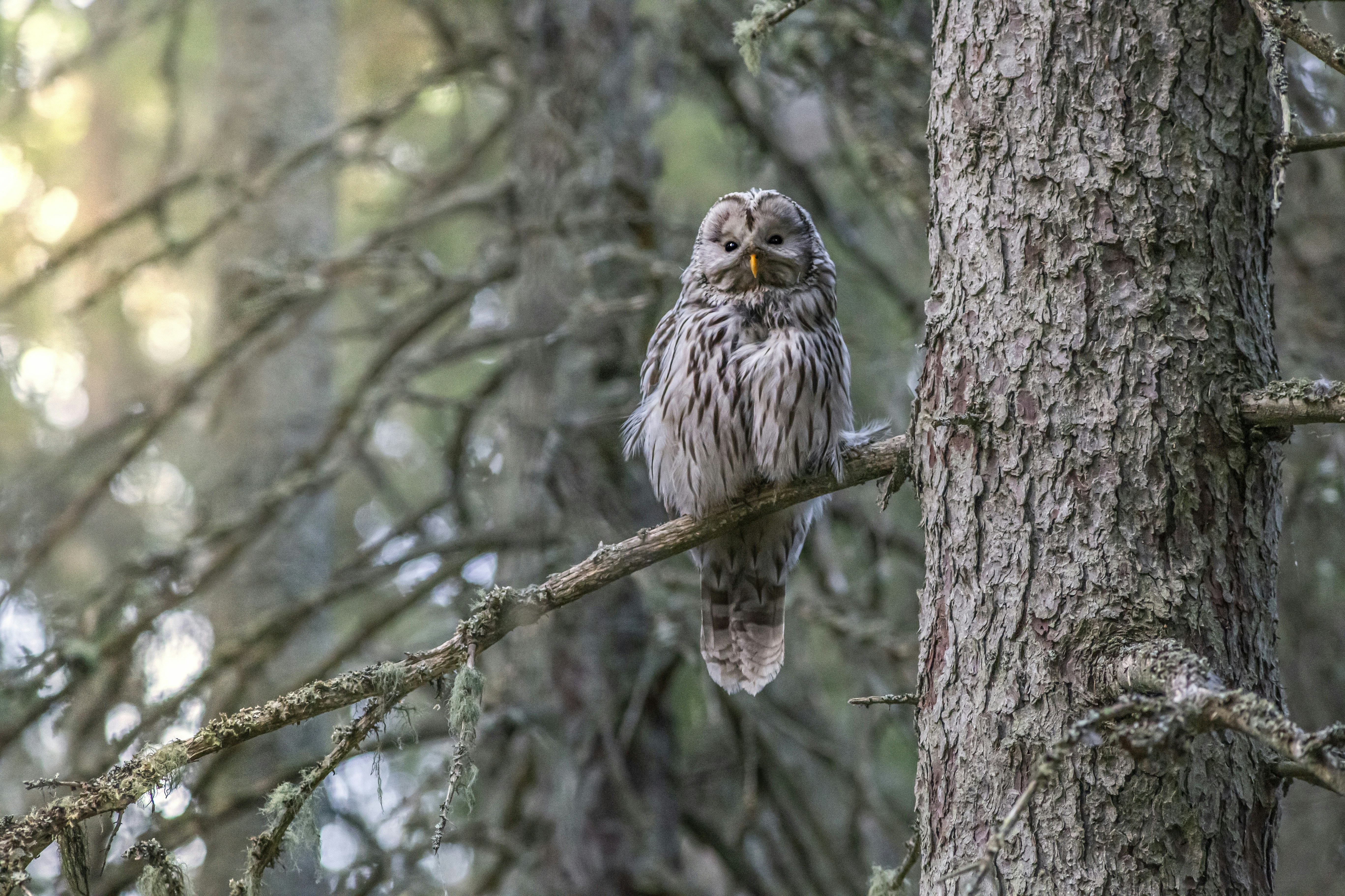 Photo by erik_karits