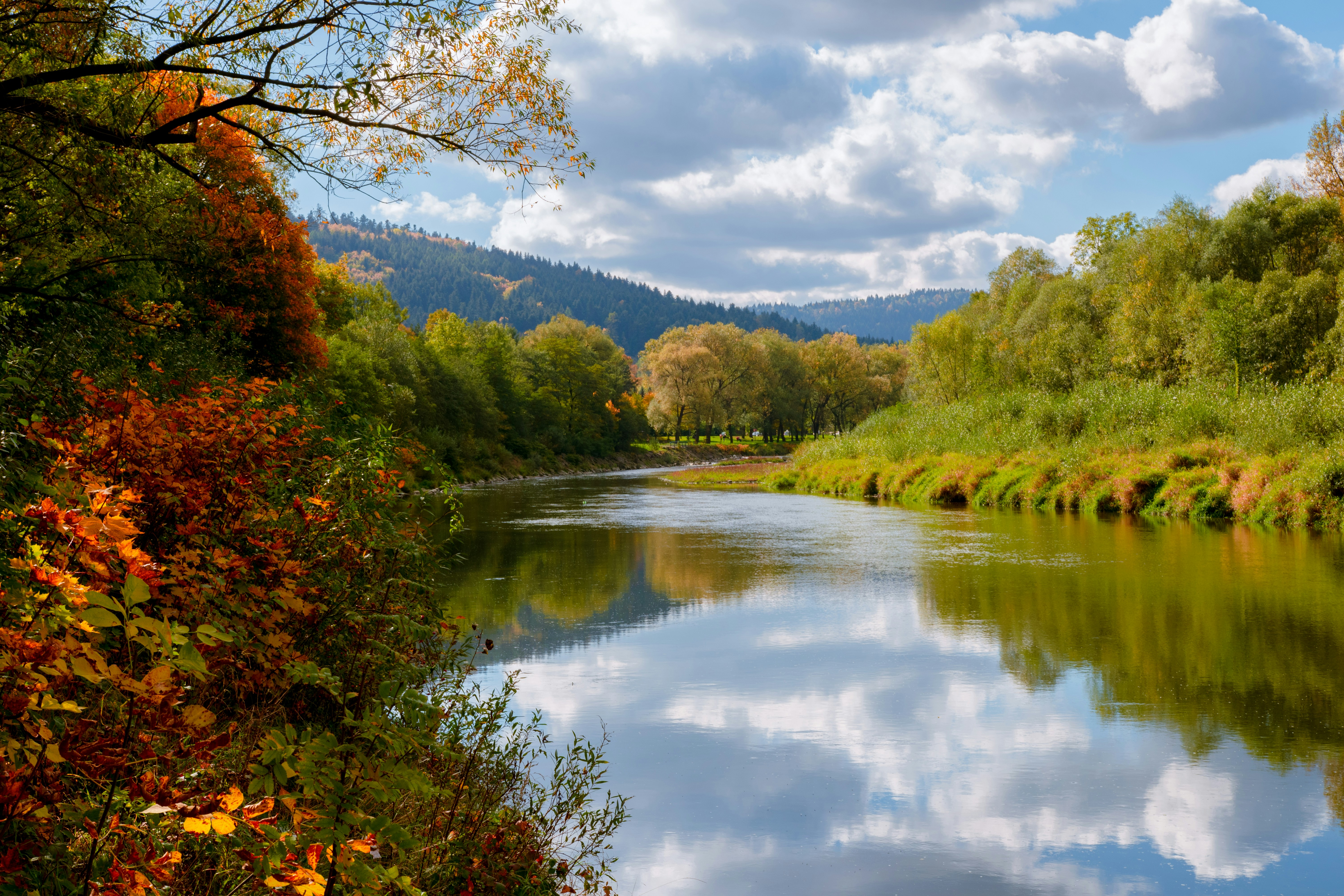 The Brewhouse District