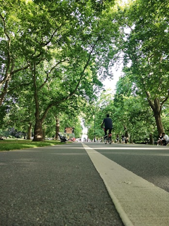 A scenic view of a winding bike path through a lush green park.