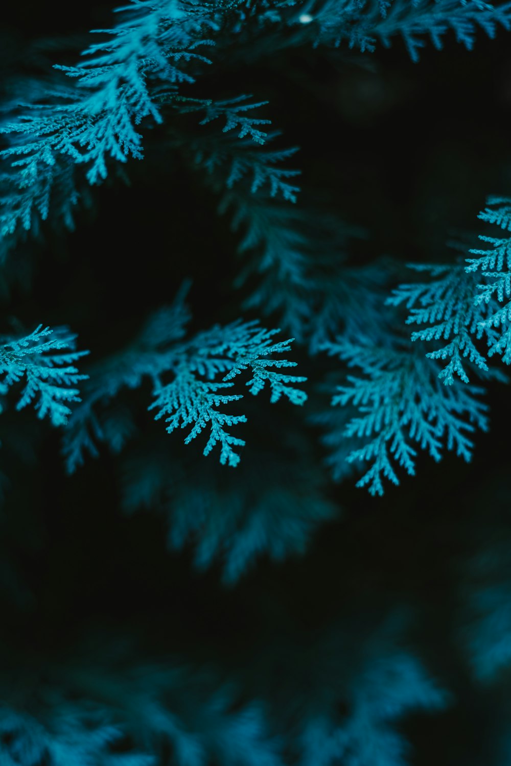 a close-up of some snow