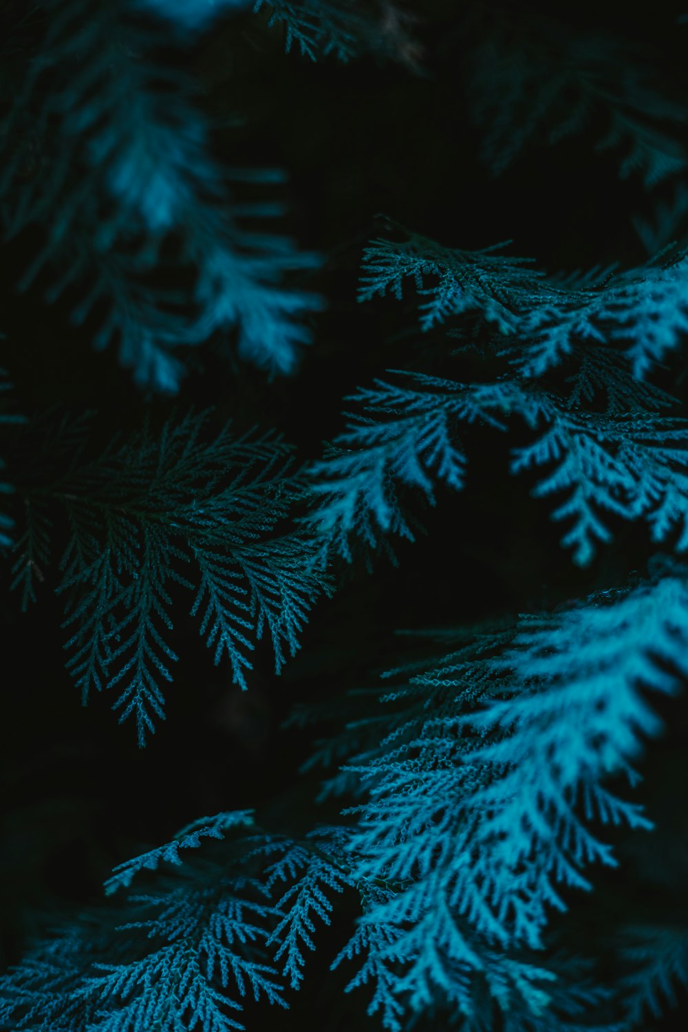 a close-up of some snow