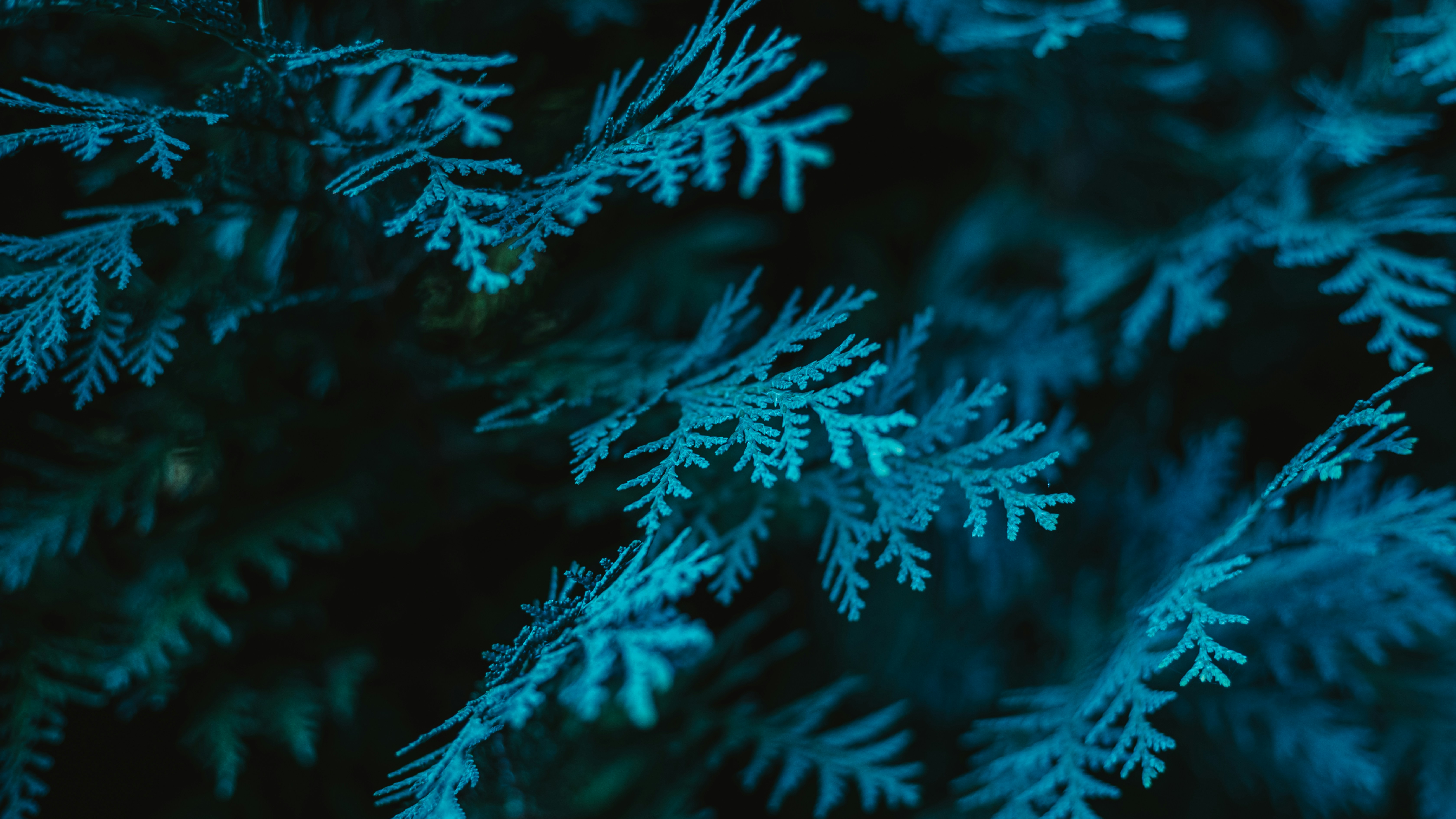 A close-up of some snow photo – Free Blue Image on Unsplash