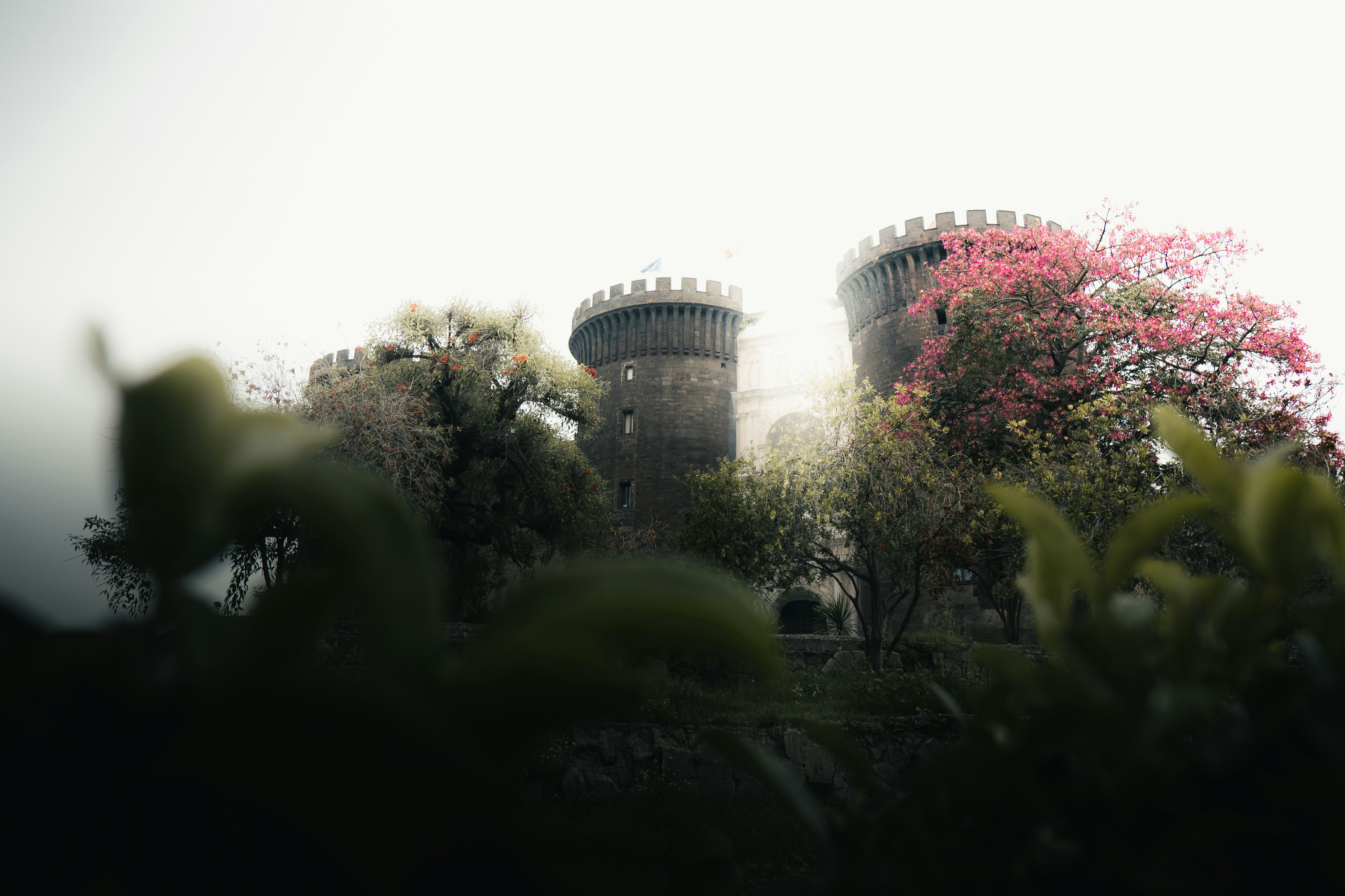 Photo by androwv