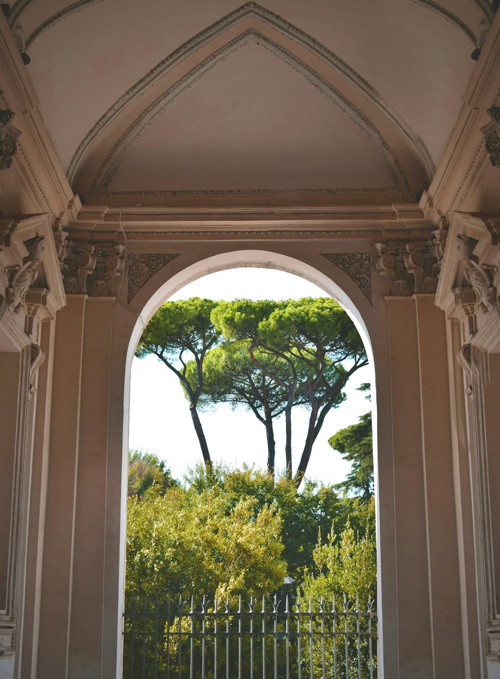 a view of a tree through a window of a building