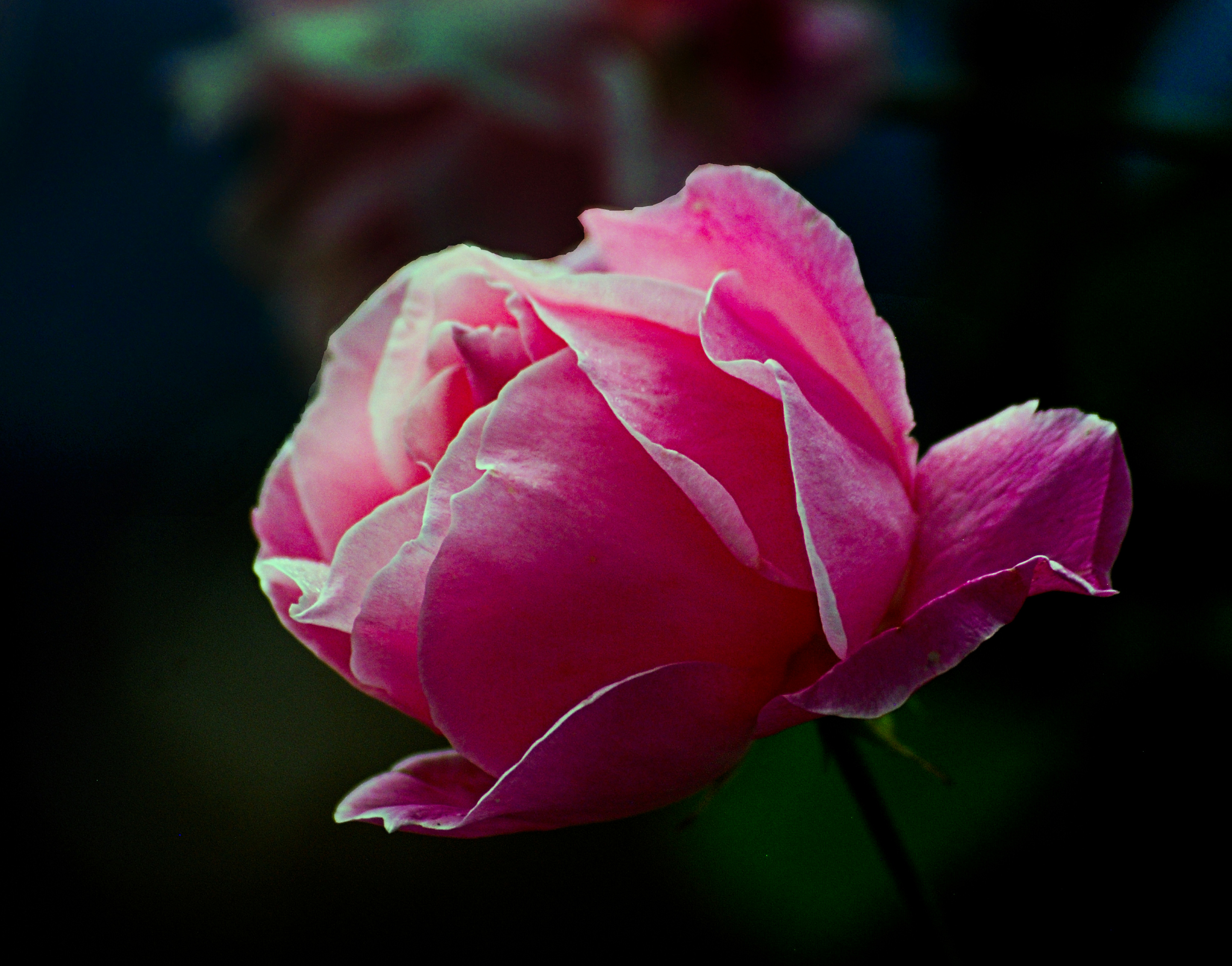 Honduras soccer jersey 24-25