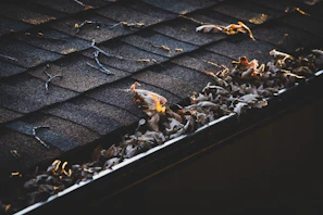 Technician cleaning clogged gutters filled with leaves on a sunny day.