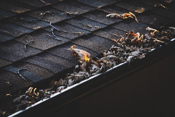 A close-up of a roof gutter filled with dry leaves, with the shingles showing signs of wear and tear. The light casts a warm glow on some of the leaves, enhancing the texture of the dried foliage and the roof's surface.
