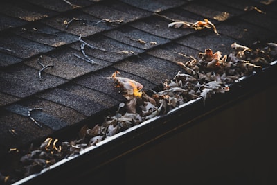 A close-up of a roof gutter filled with dry leaves, with the shingles showing signs of wear and tear. The light casts a warm glow on some of the leaves, enhancing the texture of the dried foliage and the roof's surface.