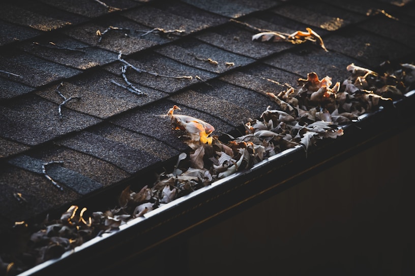 Close-up of a clean, well-maintained gutter on a sunny Naples home surrounded by lush greenery.