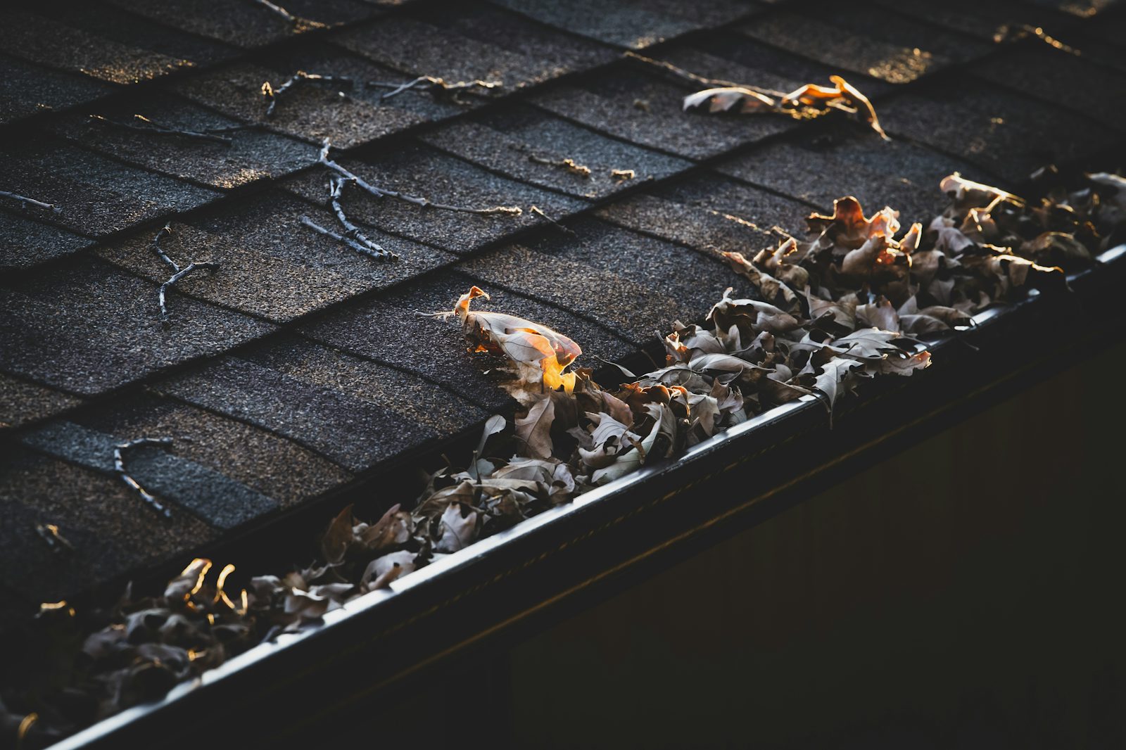 Roofline eaves of a UK house